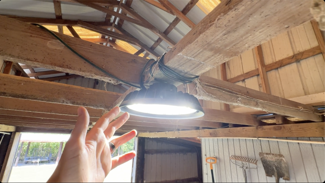 BEST Lights for Barns? | LED Dimming High Bay Light for Barn