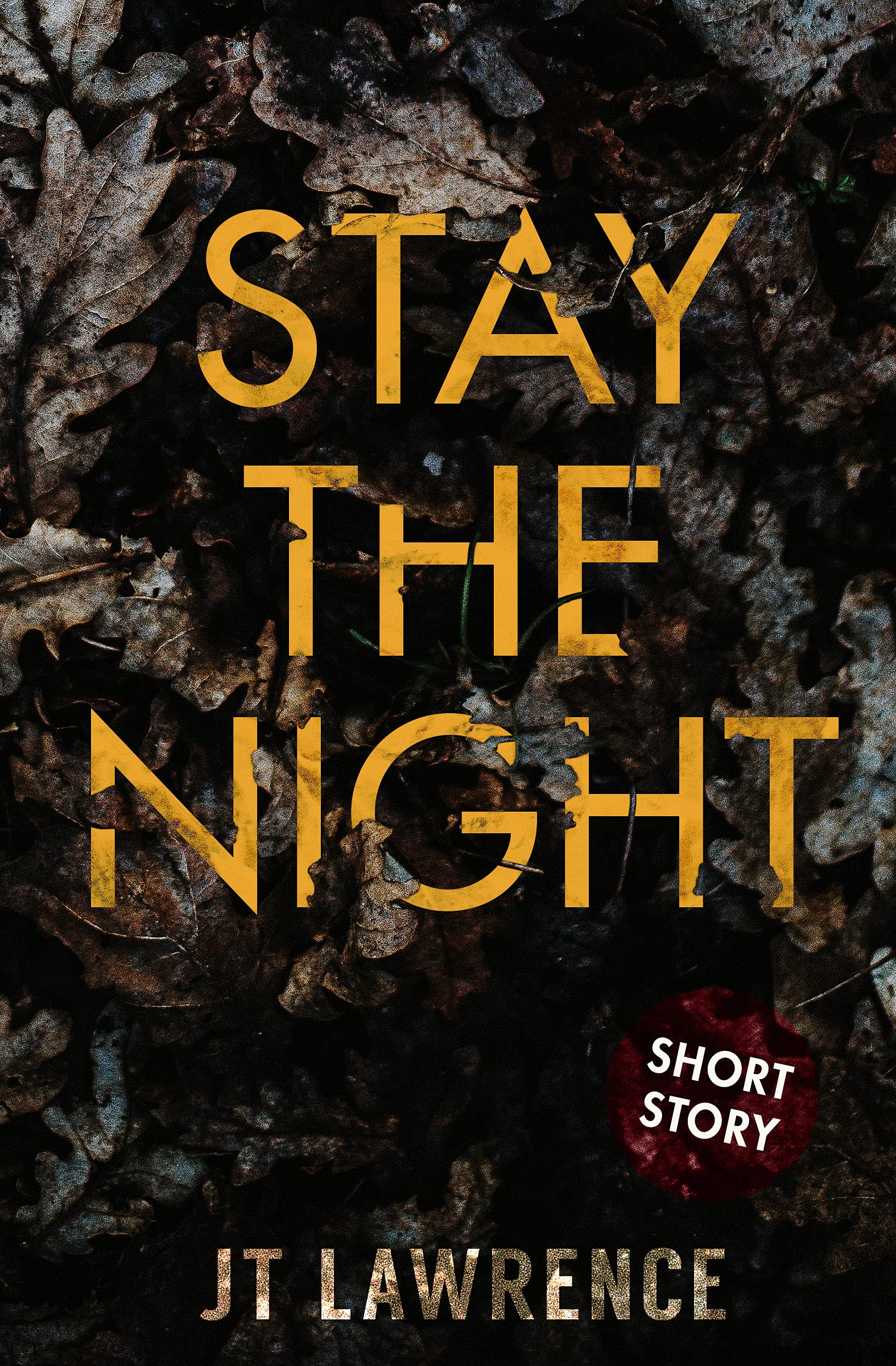 Cover of Stay the Night