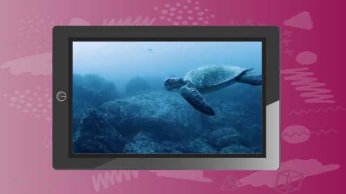 Peaceful Aquarium Oceanic Coral Reefs Deep Sleep Sounds Screensaver for Fire TV – vue 7