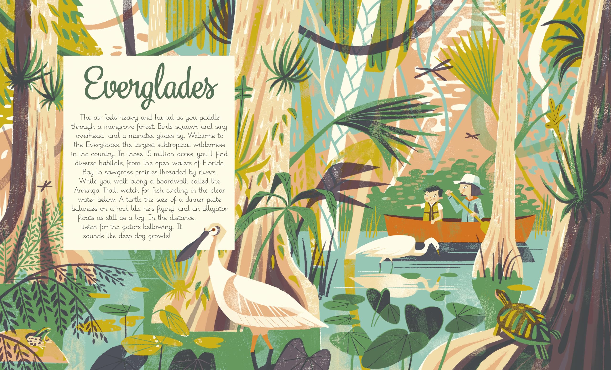 National Parks of the USA (Americana) - Image 6