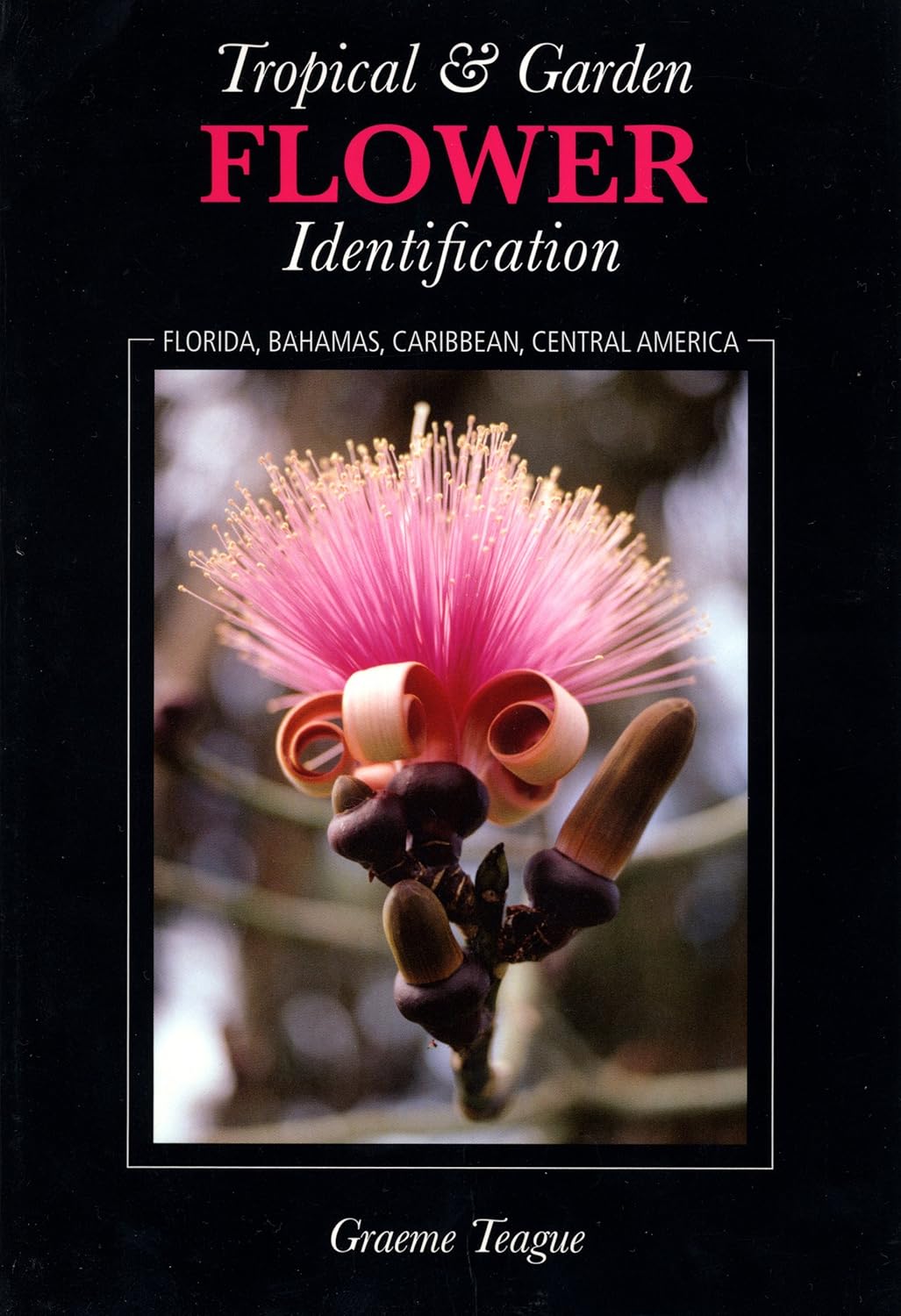 Tropical & Garden Flower Identification: Florida, Bahamas, Caribbean, Central America      Paperback – December 15, 2006