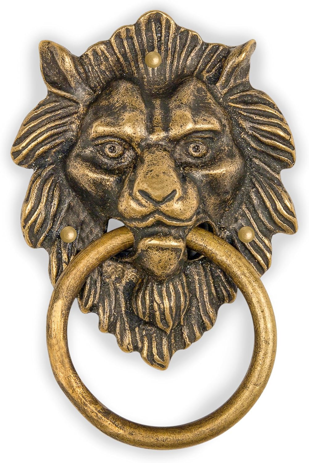 Hardware Philosophy Golden Hair Lion Brass Door Pull – 4.3"