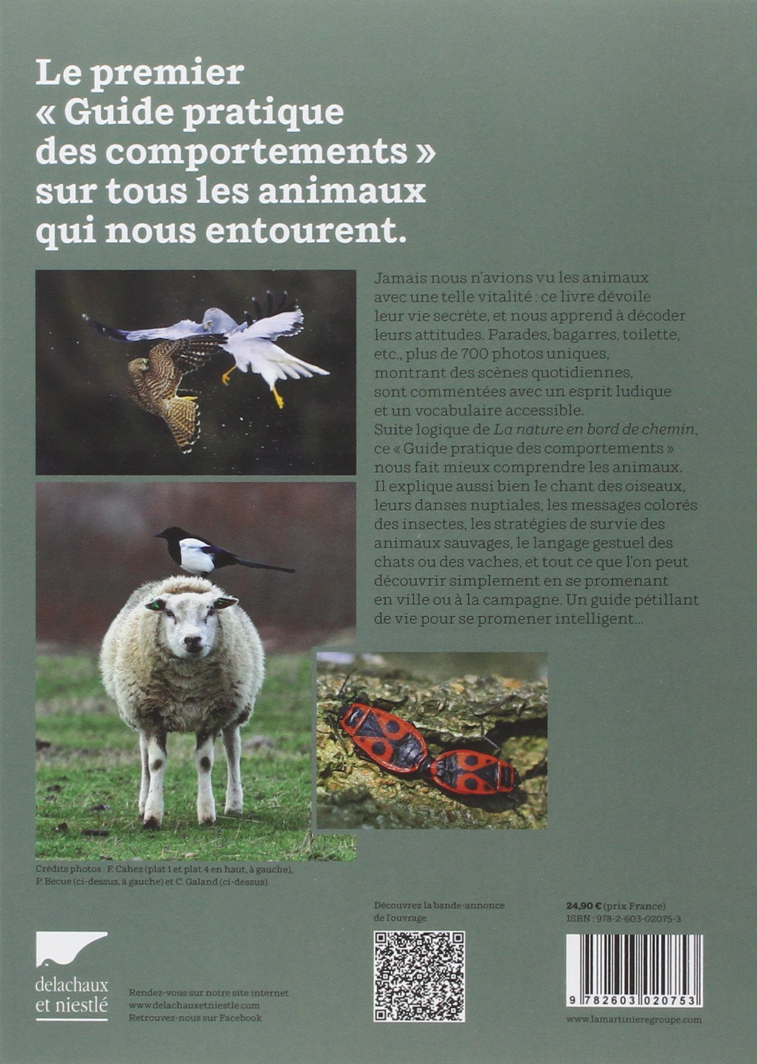 Les Animaux en bord de chemin