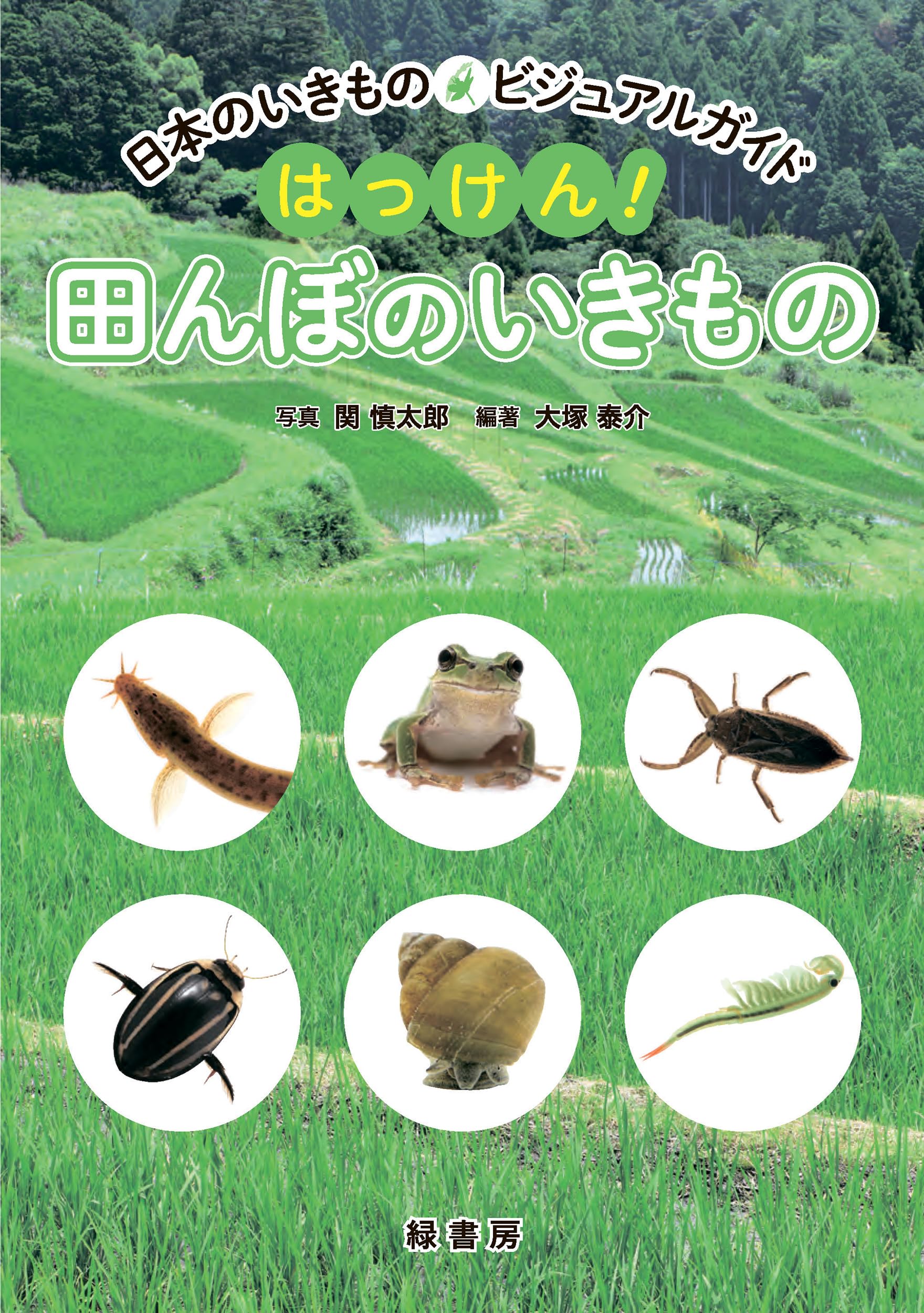 田んぼの生き物図鑑 51pS6481-yL._UF350,350_QL50_.jpg
