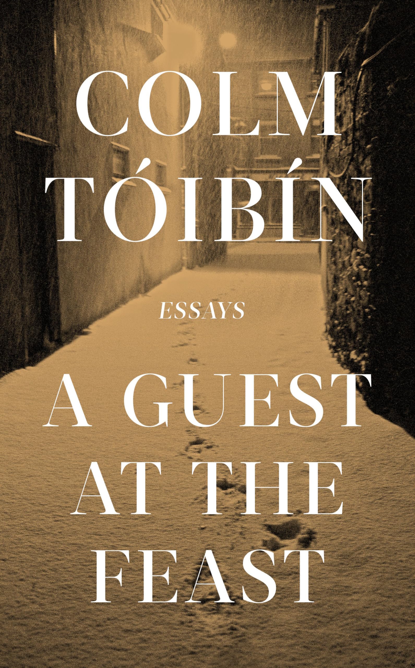 Buy A Guest at the Feast: Essays — BookShops.in