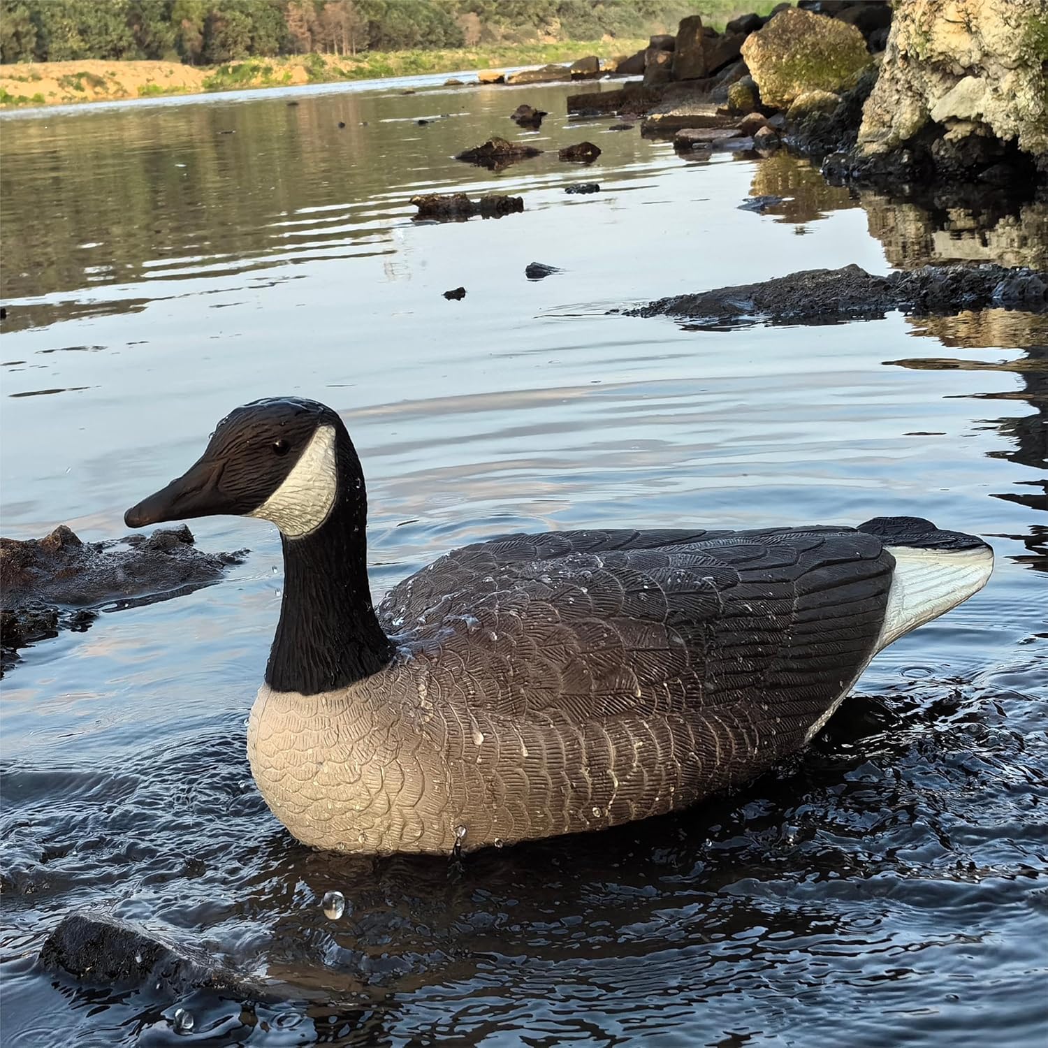 Heerweiyi Goose Decoys Pack of 6, Popular New Material EVA Collapsible Plastic Goose Hunting Decoys, Goose Decoys, Easy to Carry and Use, Cost Effective