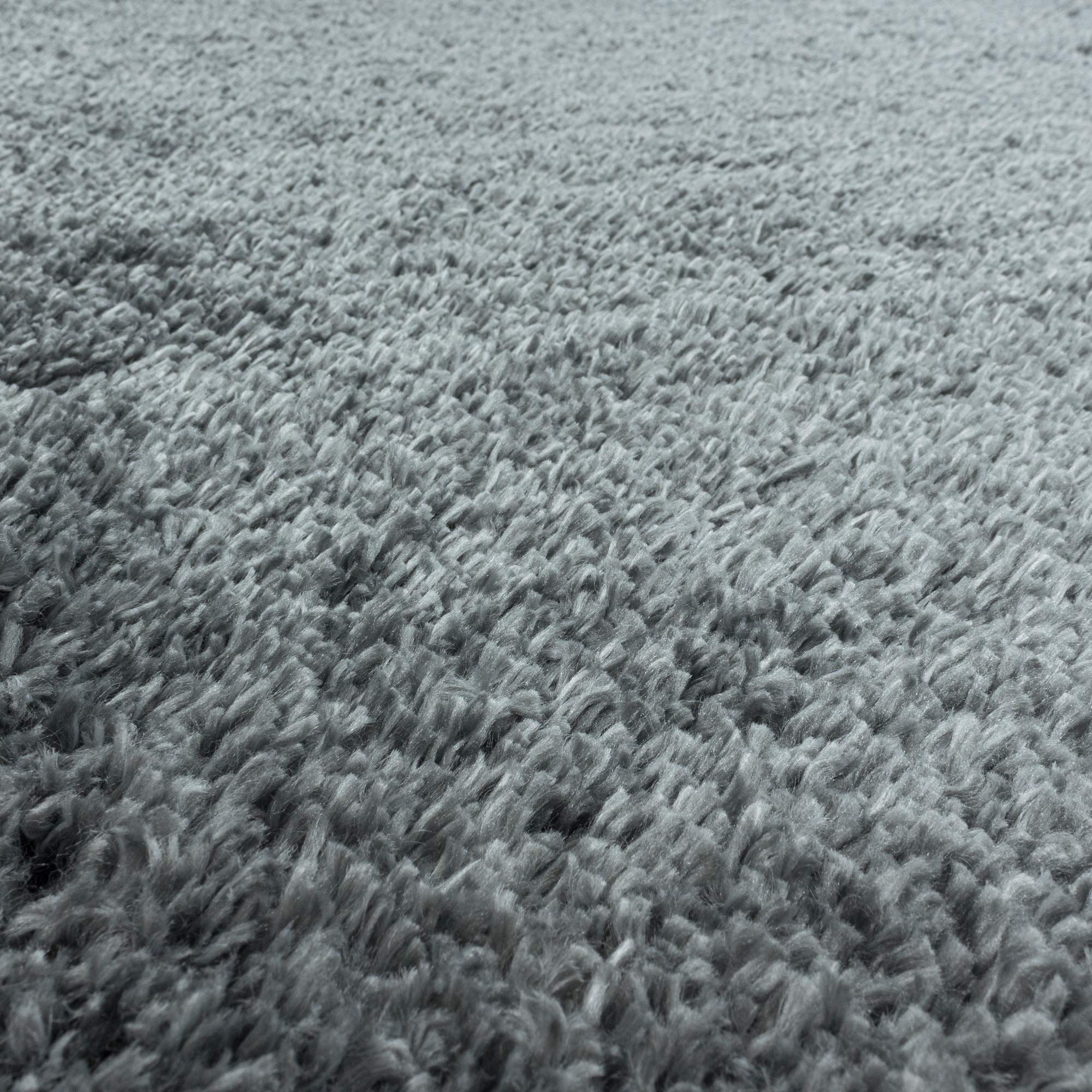 Carpetsale24 Tapis à Poils Longs, Couleur Gris Clair, Unicolor - Monochrome, 107606, Tapis Rectangle, Tapis Salon-Salle à Manger ou Chambre, 120 x 170 cm