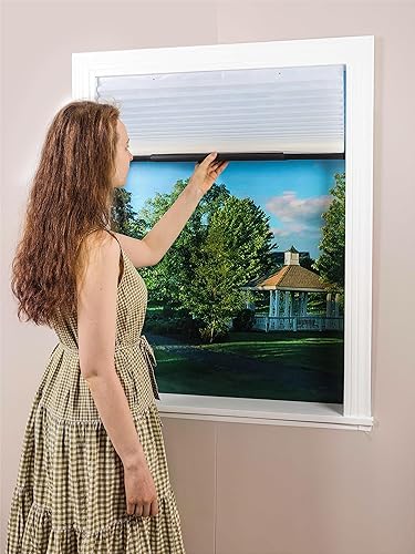 Easy Up & Down - Persianas plisadas sin cordones, de tela filtrante de luz, 36 pulgadas de ancho x 64 pulgadas de alto (se adapta a ancho de ventana