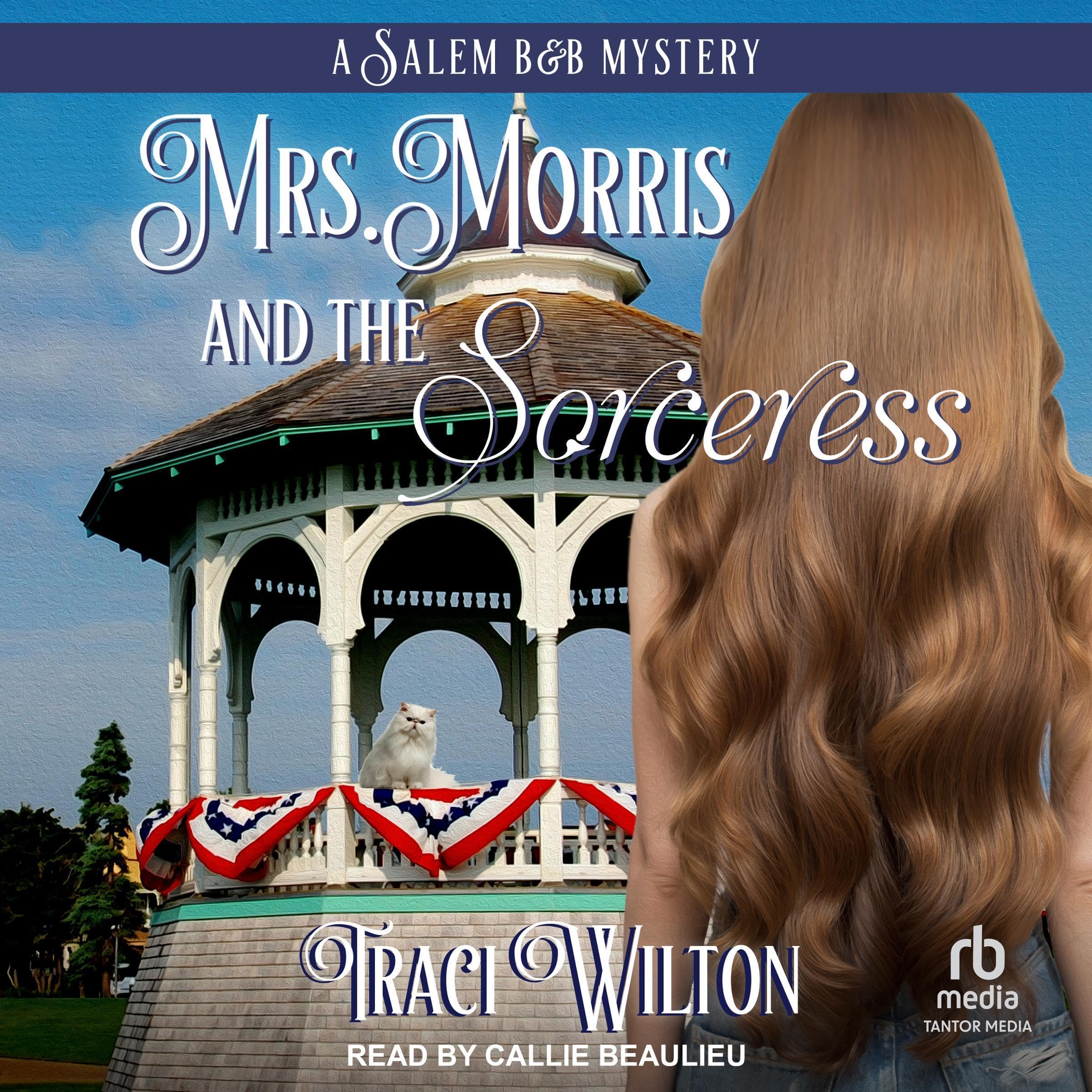 Cover art for Mrs. Morris and the Sorceress