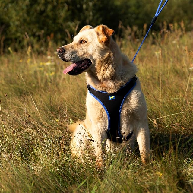 Foto 3 de 7 de Ferplast Arnés para Perros Grandes ERGOCOMFORT, Ajustable, cómodo, Acolchado, de fácil colocación y extracción