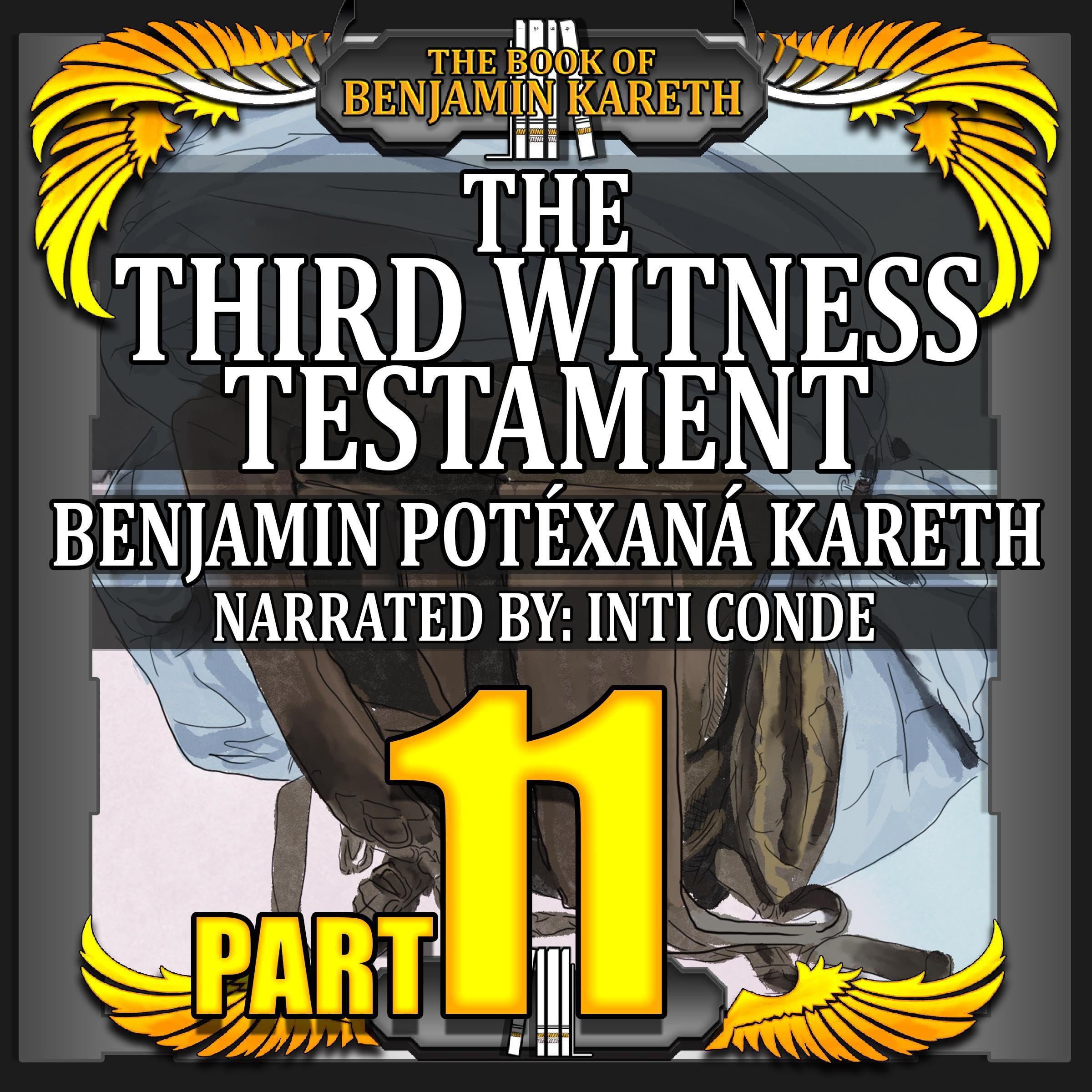 Cover art for The Third Witness Testament
