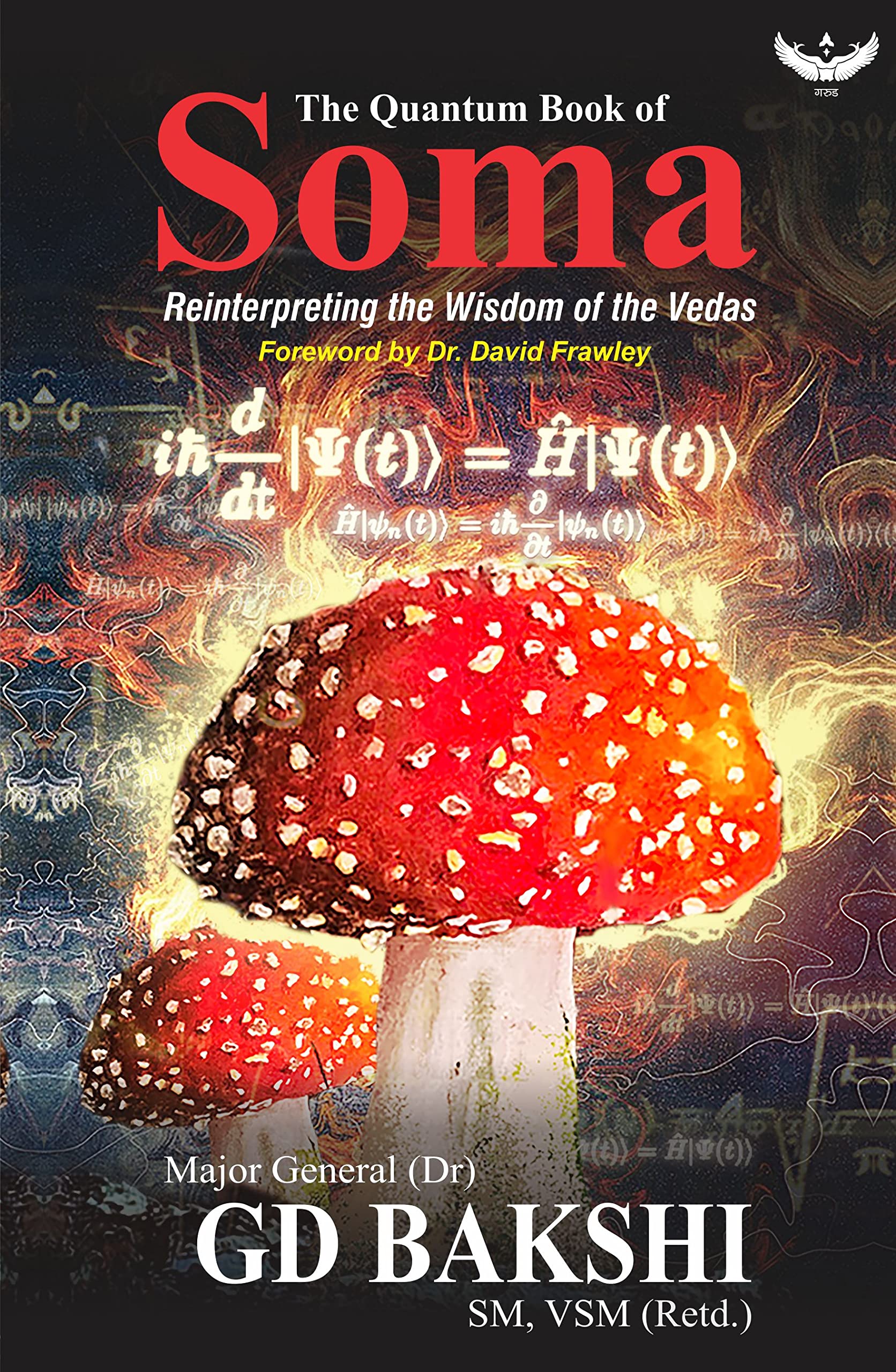 The Quantum Book of Soma: Reinterpreting the Wisdom of the Vedas Paperback – 1 November 2021