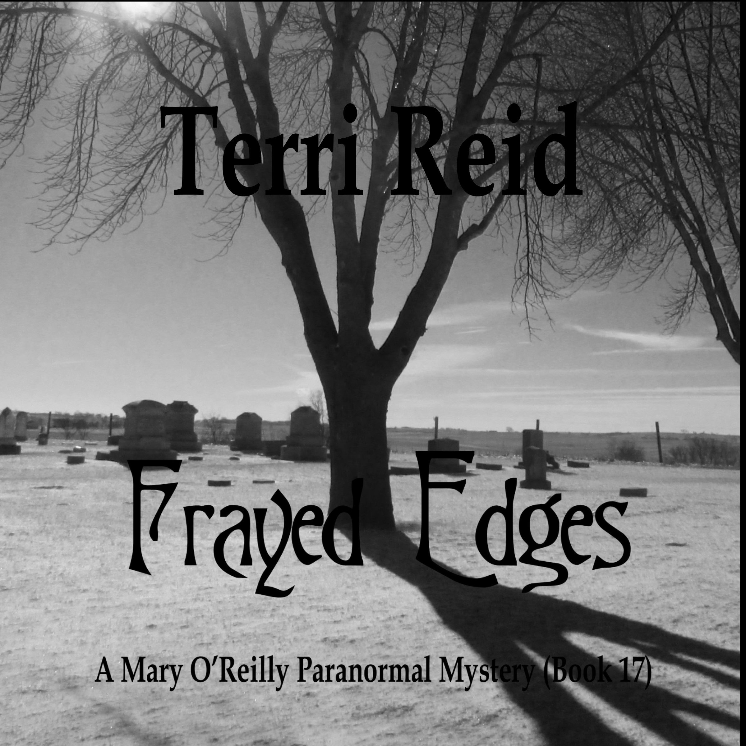 Cover art for Frayed Edges