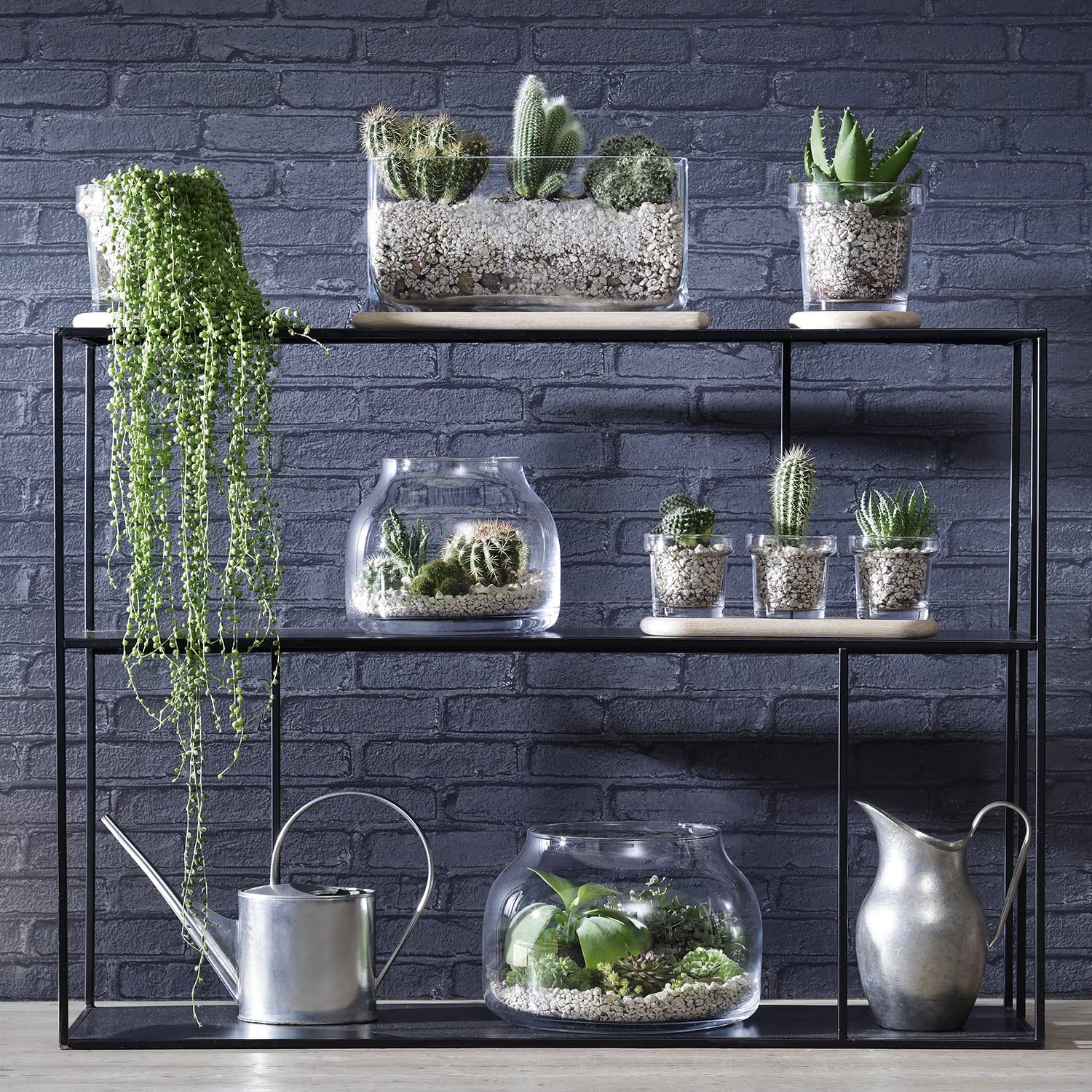 LSA PN01 Plant Trio Pot Set & Oak Base H4.5 in Clear