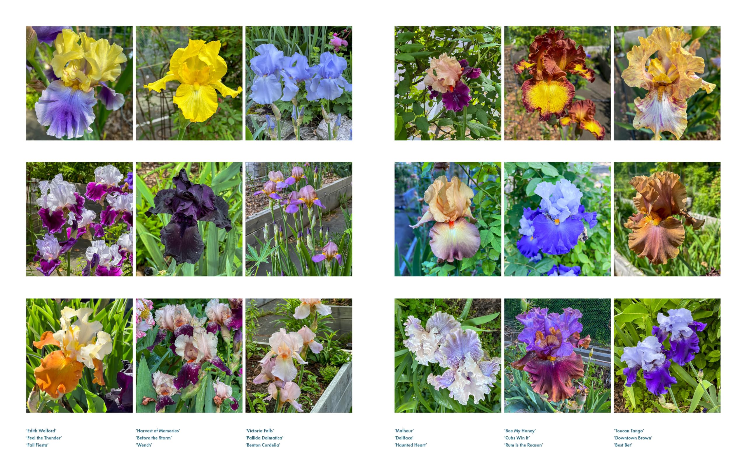 Life with Flowers: Inspiration and Lessons from the Garden