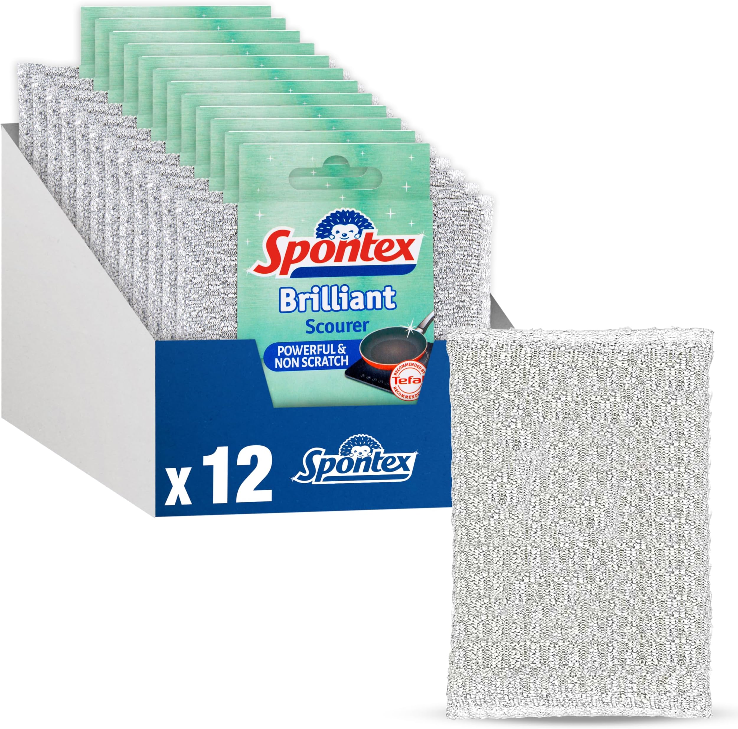 Brilliant Scourer, 13 x 8.5 cm