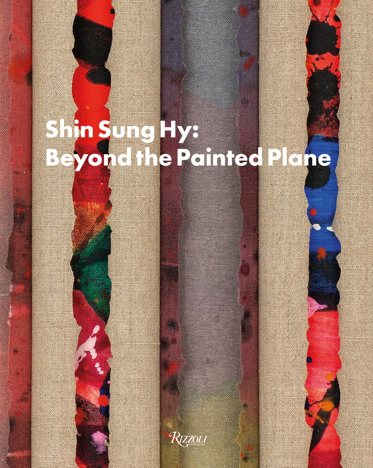 Shin Sung Hy: Beyond the Painted Plane - Monographie d'art contemporain