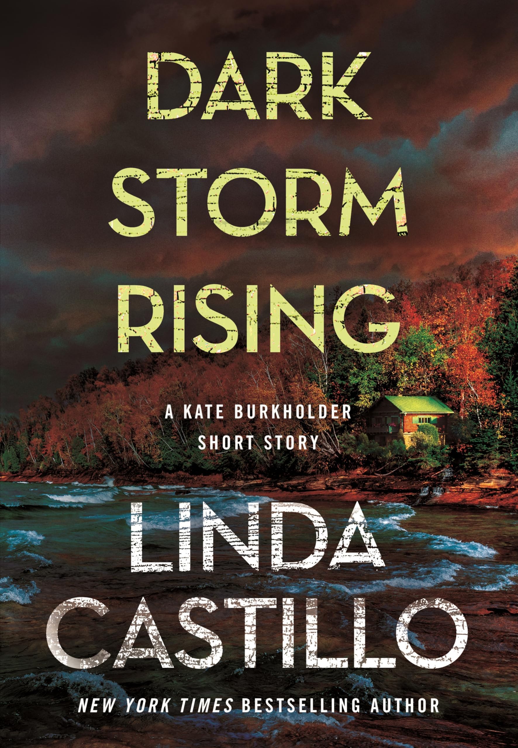 Dark Storm Rising