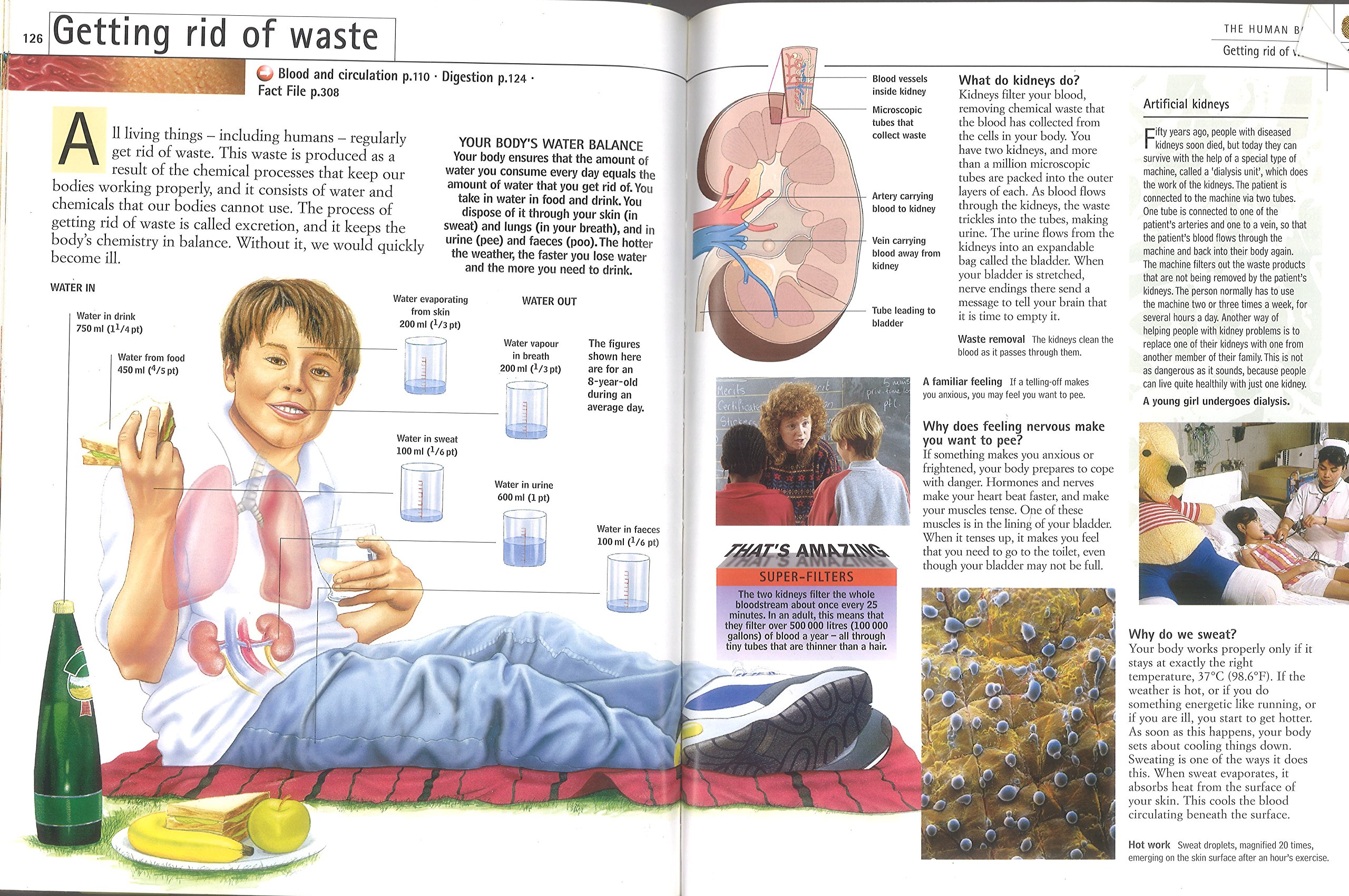 Reader's Digest Book of Amazing Facts: A Children's Guide to the World