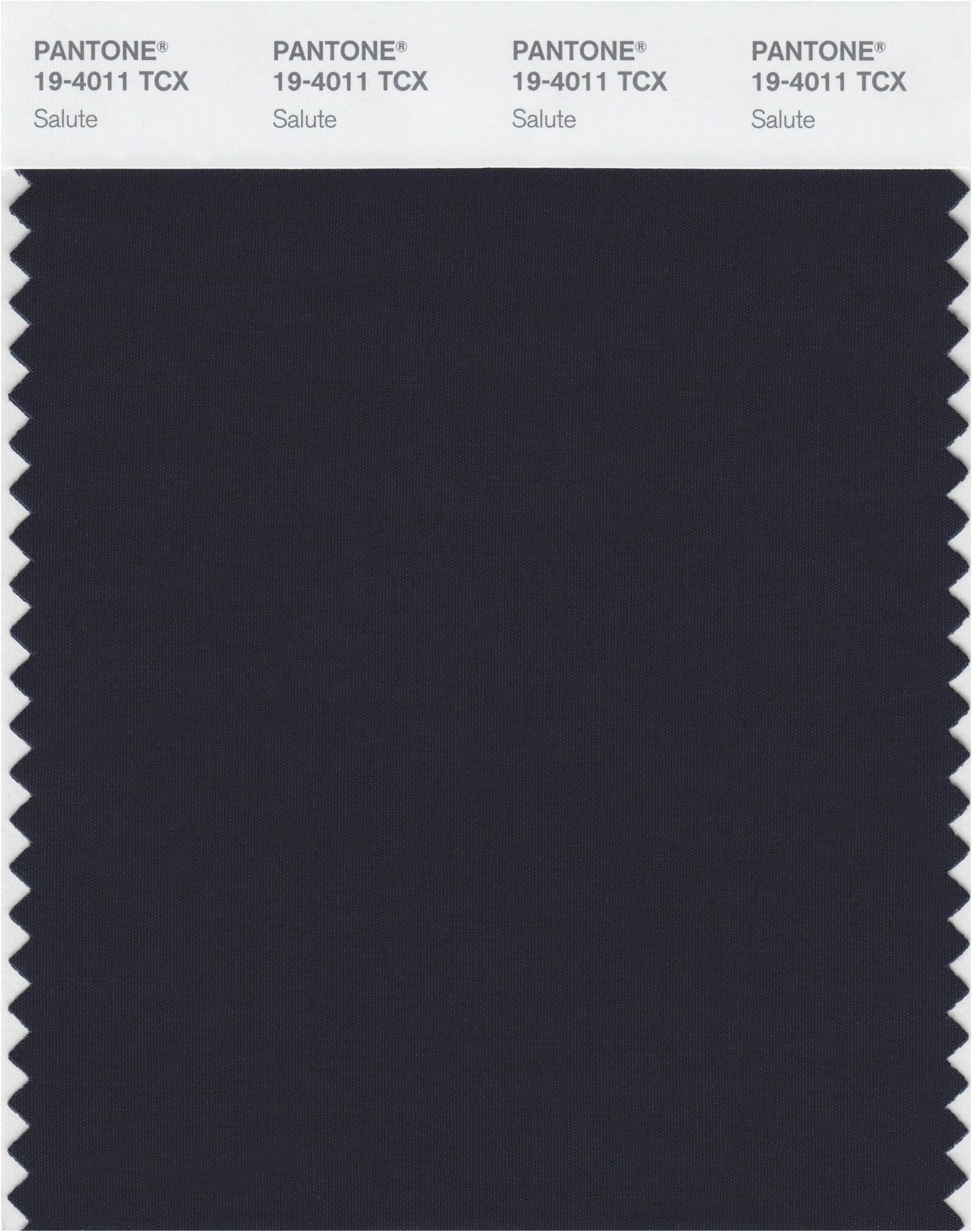 19-4011 TCX Smart Color Swatch Card, Salute