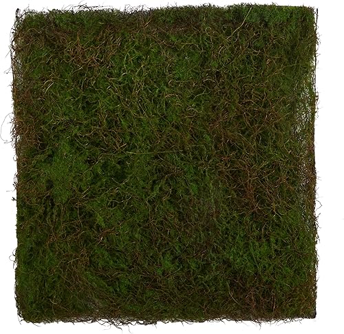 Nearly Natural Alfombrilla de musgo artificial de 20 pulgadas x 20 pulgadas
