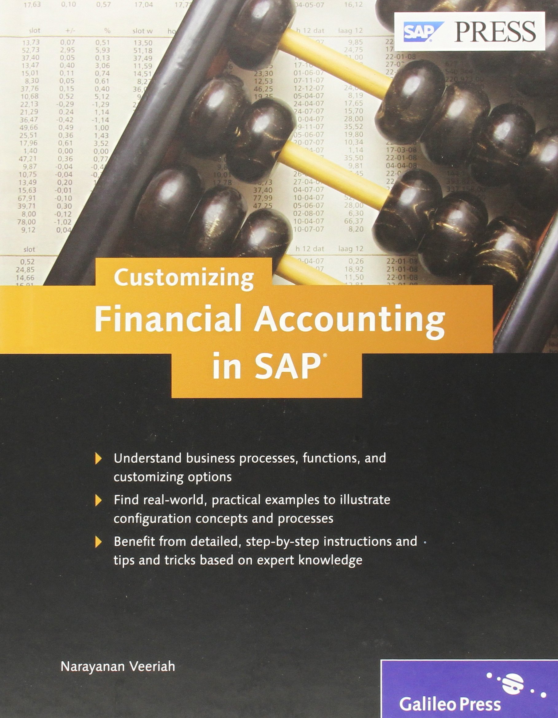 Customizing Financial Accounting in SAP
