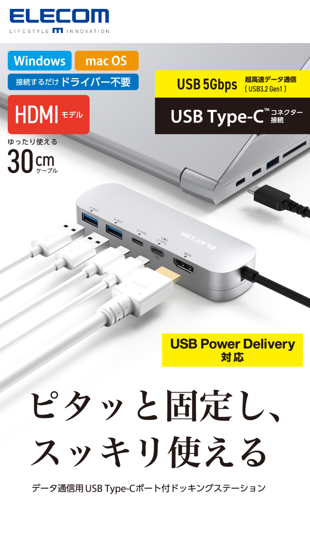 エレコム USB Type-C ハブ ドッキングステーション 5-in-1 DST-C19SV/EC