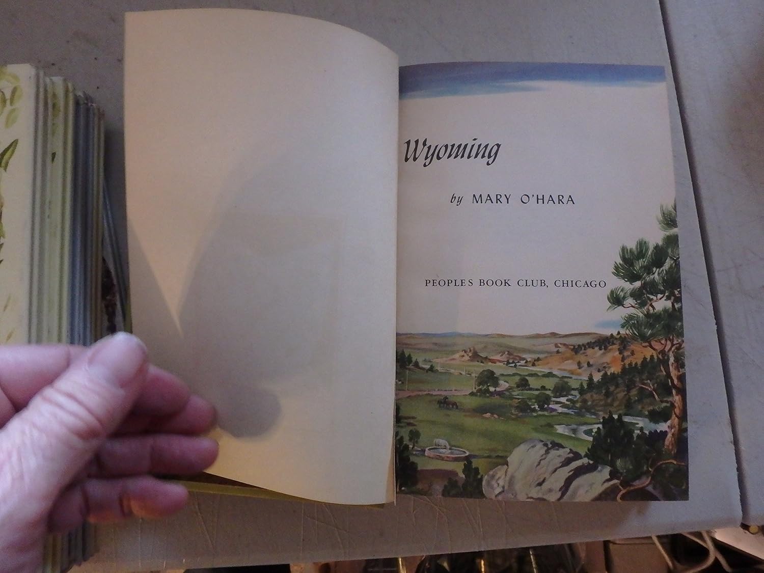 Green Grass of Wyoming O'Hara, Mary Books