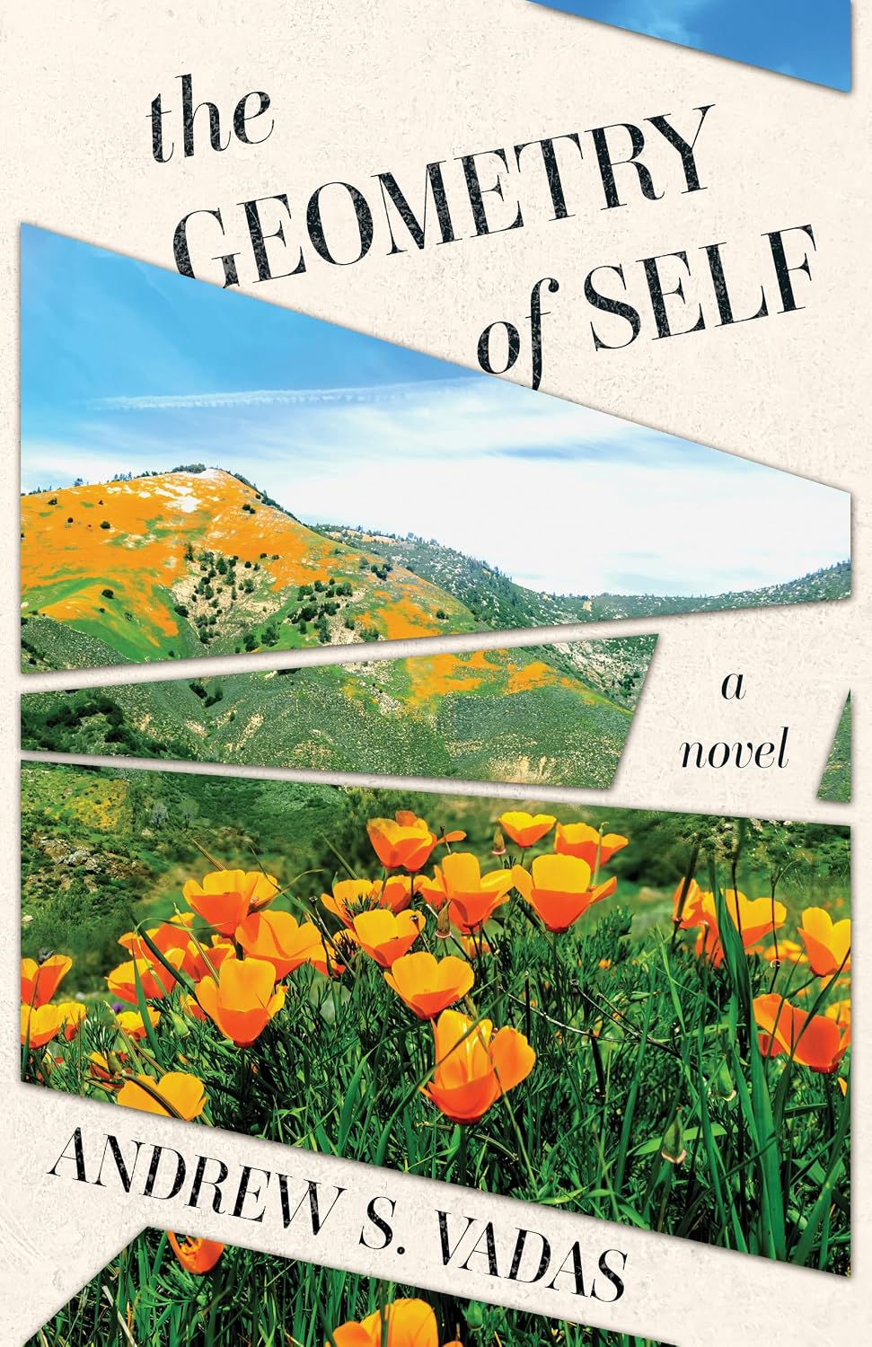 Amazon.com: The Geometry Of Self eBook : Vadas, Andrew S. : Kindle Store