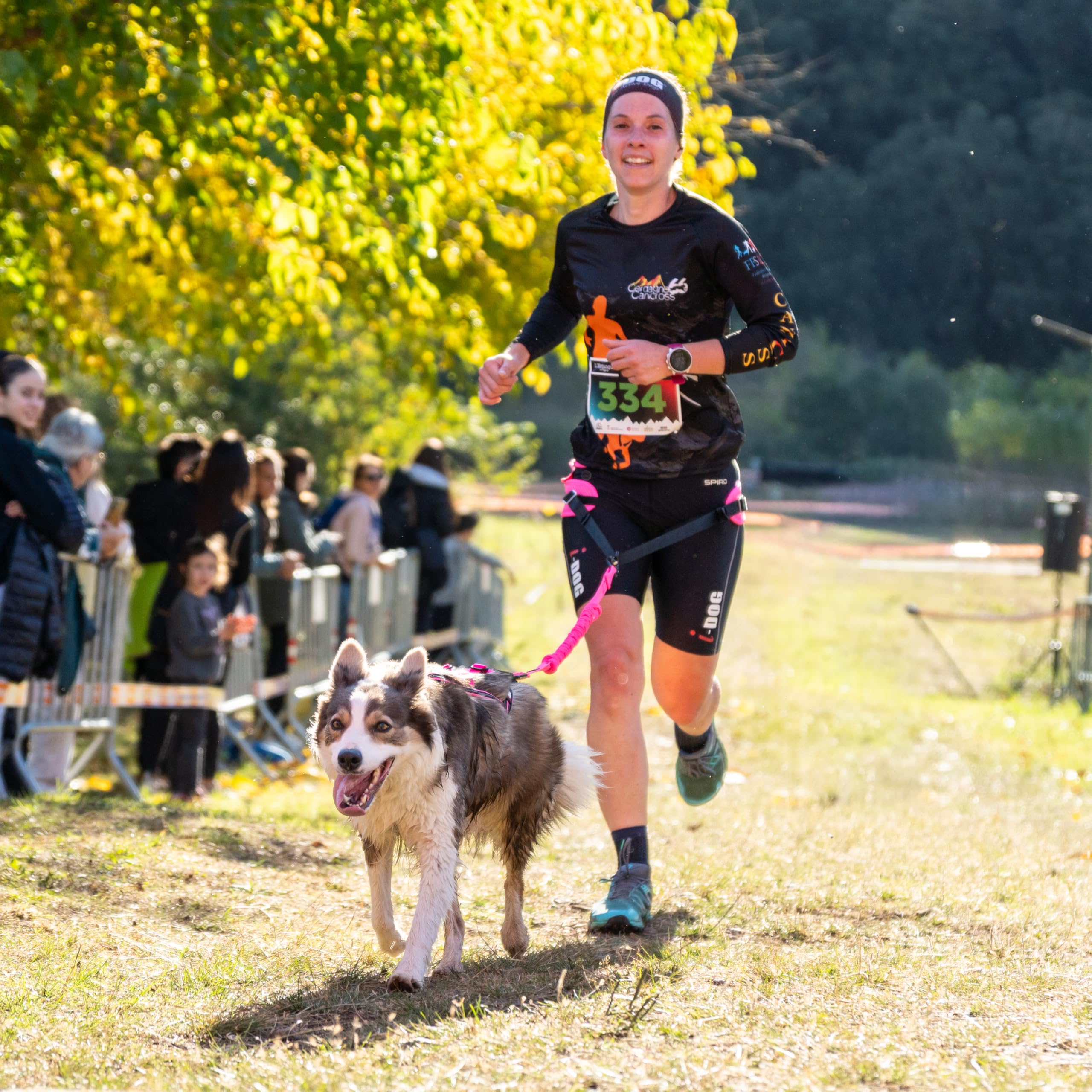 Baudrier Ceinture RAIDLIGHT I-dog Marque Française Taille Unique Rose pour Chien Cross Rando Jogging Trail