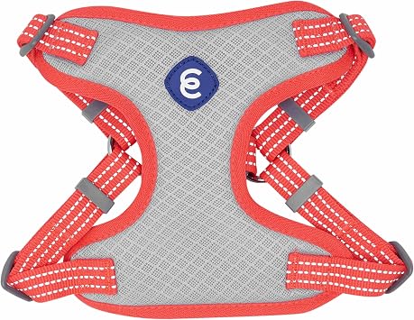 Blueberry Pet Essentials Back to Basics Reflective Dog Harness Vest, Fiery Red, Medium, Adjustable Harnesses for Dogs