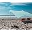Neso Grande Portable Beach Tent Sun Shelter - Lightweight Beach Shade Canopy - Easy Setup for Family Outings - Patented Reinforced Corners - UPF 50+ Sun Protection - 7ft Tall, 9 x 9ft - Mint Tie Dye