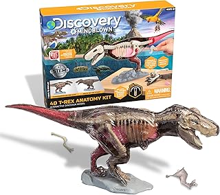 4D T-Rex Dinosaur Anatomy Kit, Interactive Archaeology Paleontology Model, Learn Science, Fun and Educational STEM Toy for Kids Ages 6 and Up Small
