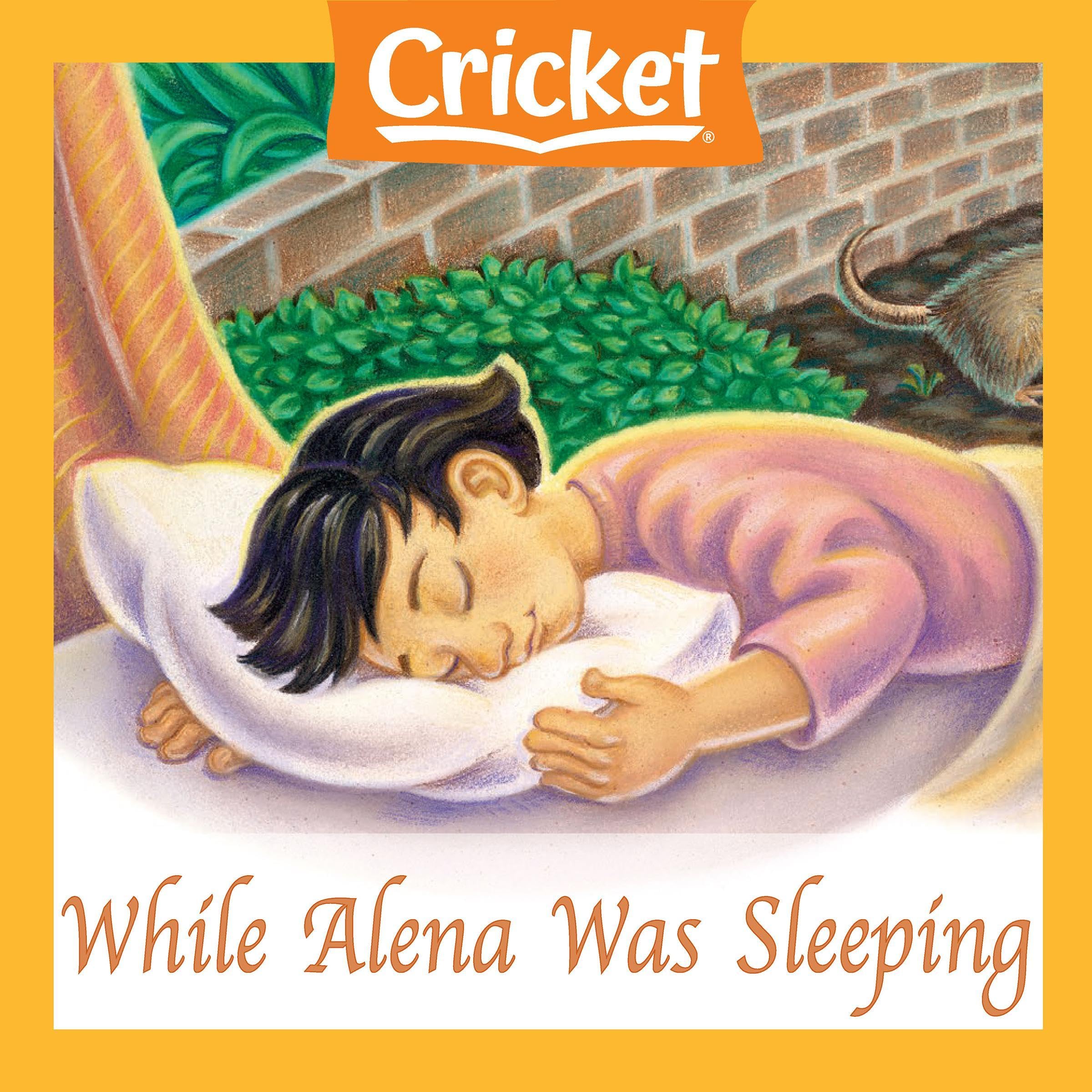 While Alena Was Sleeping