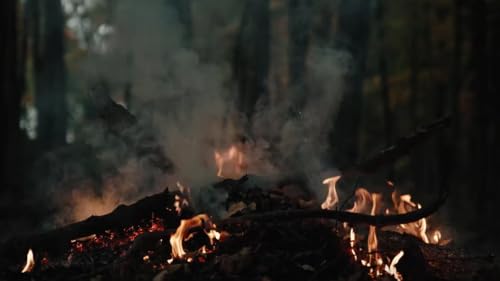 Fireplace 4k Screensaver for Fire TV No Ads