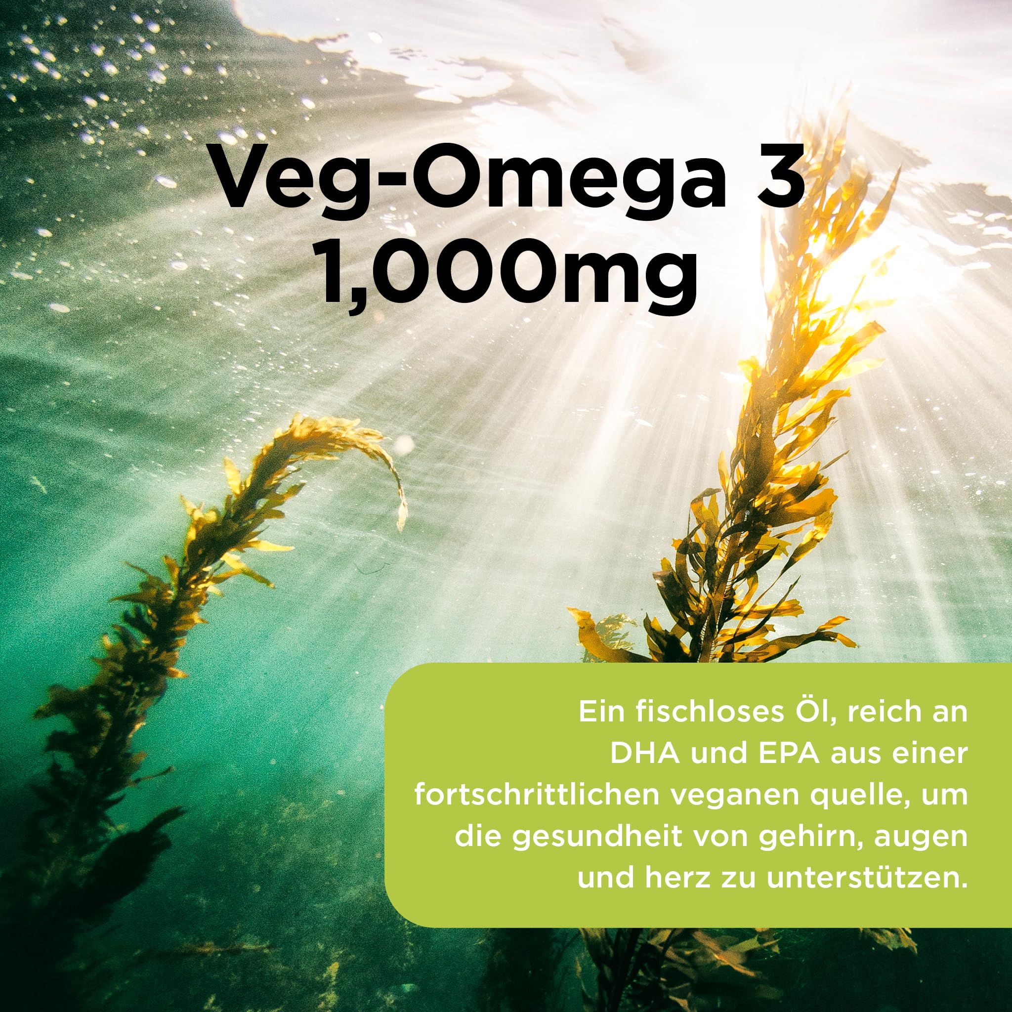 Healthspan Veg-Omega 3 1.000 mg | Unterstützt die Gesundheit von Gehirn, Auge und Herz | Vegane Algenquelle | Omega-3-Fettsäuren DHA und EPA | GVO frei | 60 Kapseln