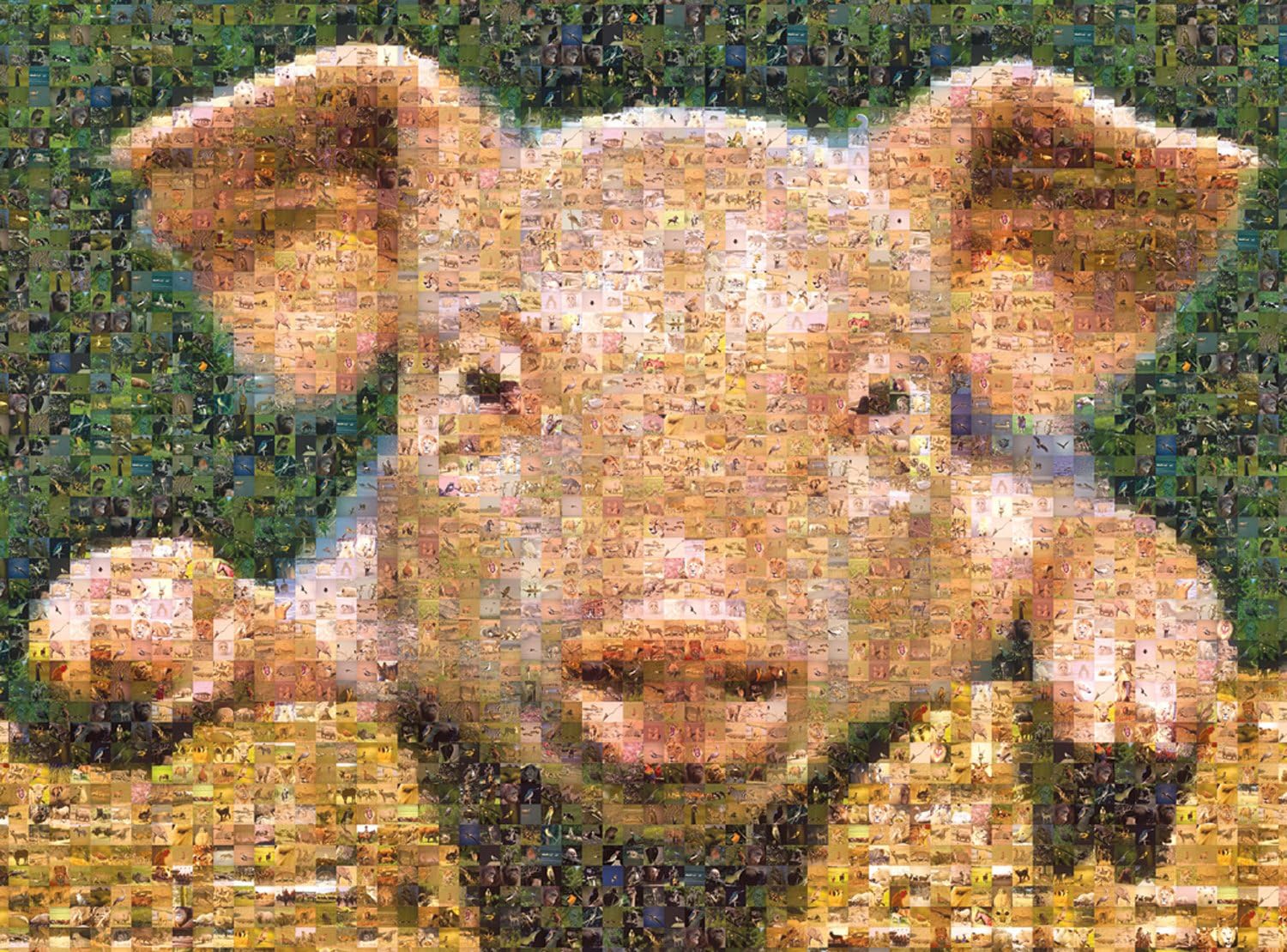 Buffalo Games Photomosaic, Pig - 1000pc Jigsaw Puzzle