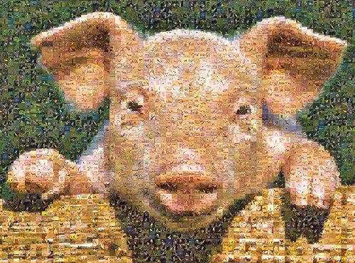 Buffalo Juegos diseño de mosaico PigPuzle 1000piezas Buffalo Juegos diseño de mosaico PigPuzle 1000piezas