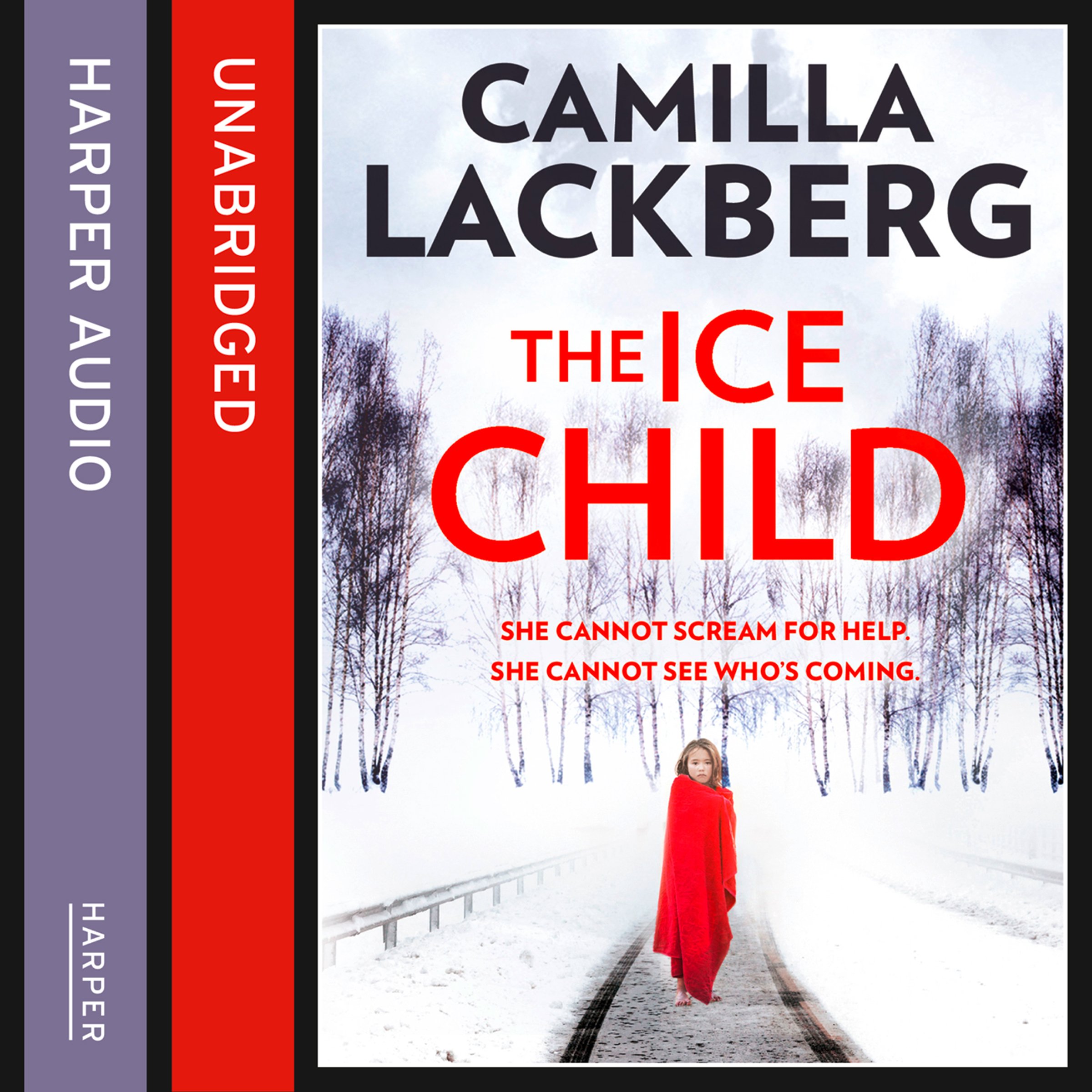 Cover art for The Ice Child