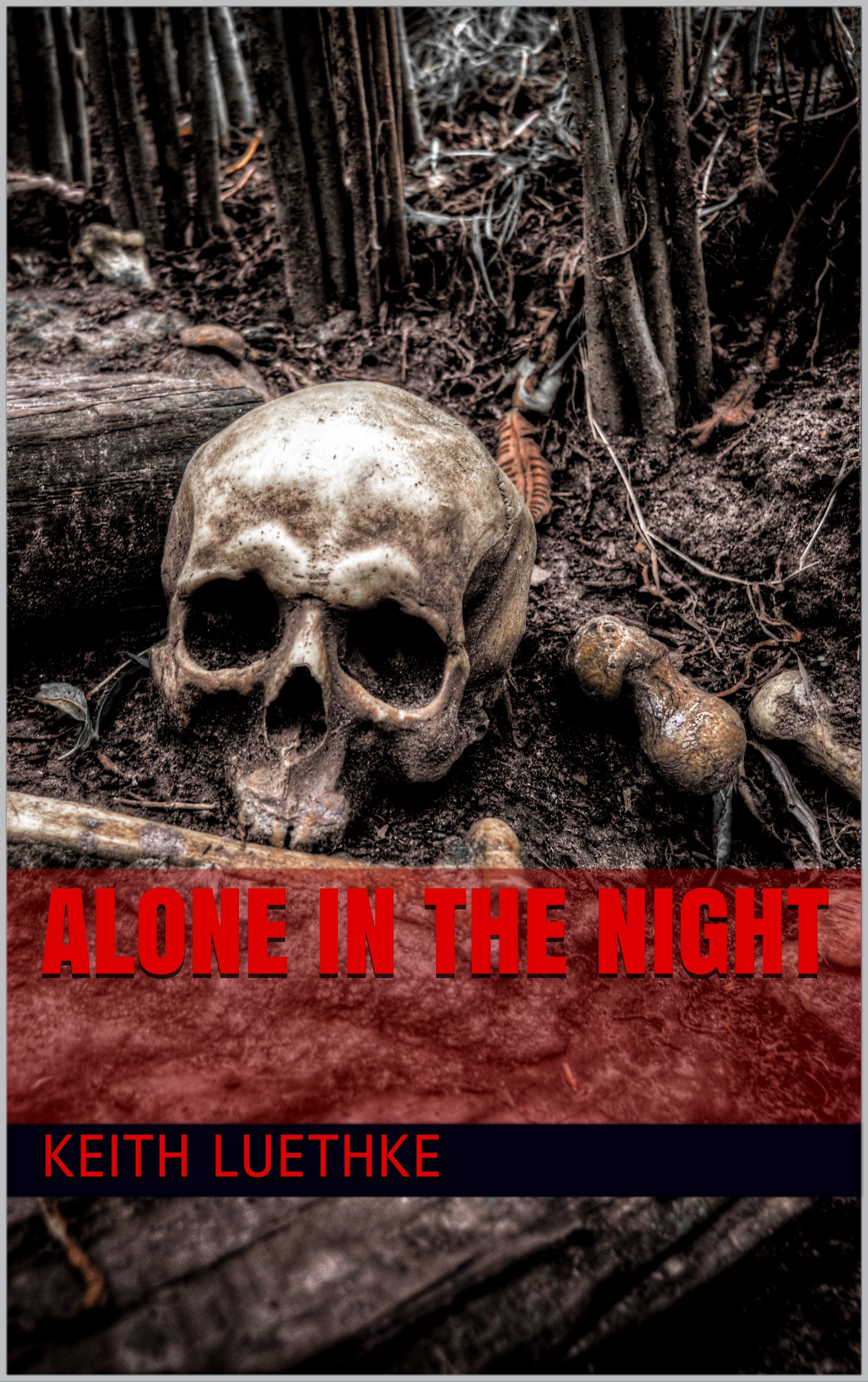 Cover of Alone in the Night