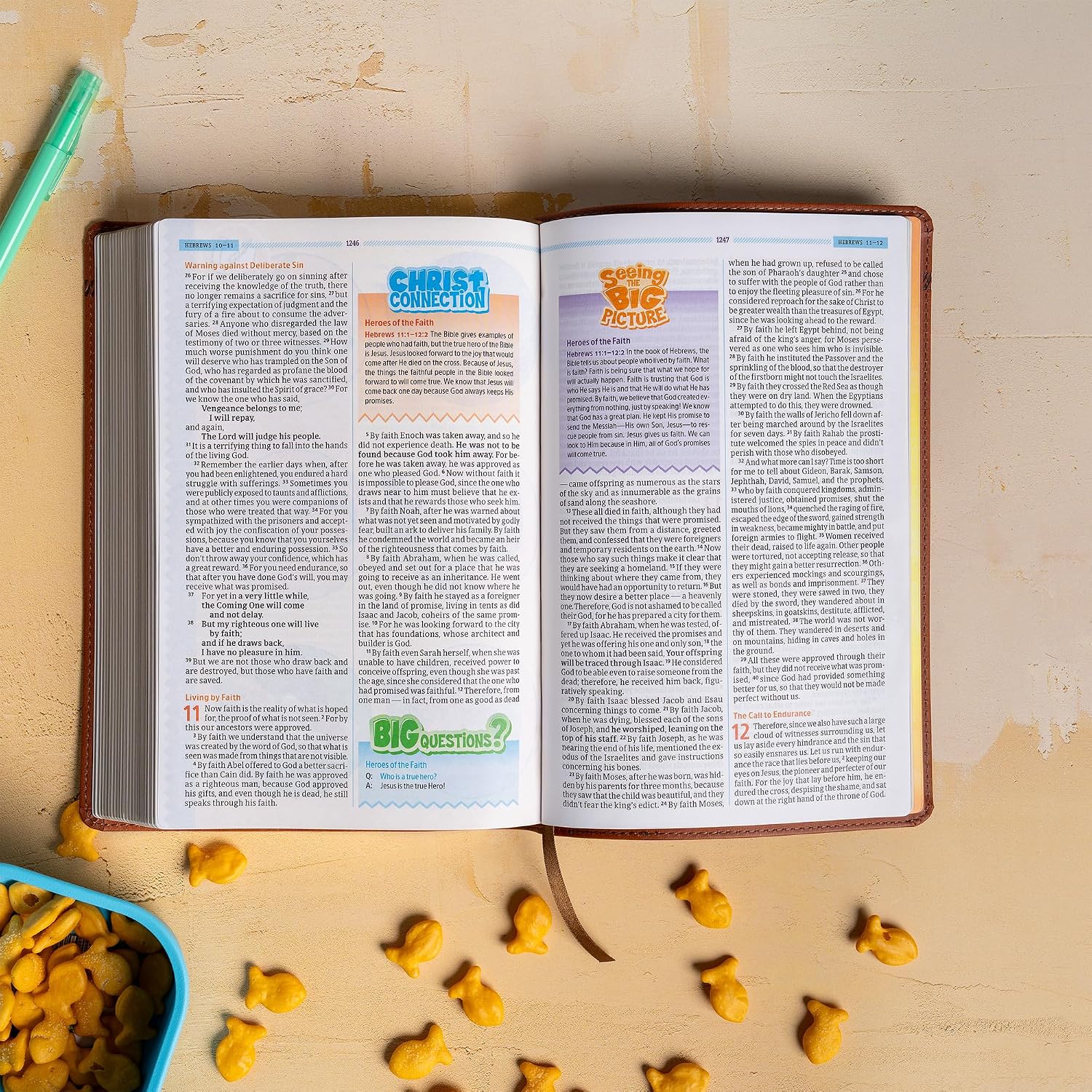 CSB One Big Story Bible, Brown LeatherTouch, Red Letter, Presentation Page, Study Helps, Christ Connections, Memory Verses, Full-Color Maps, Easy-to-Read Bible Serif Type      Imitation Leather – March 15, 2025