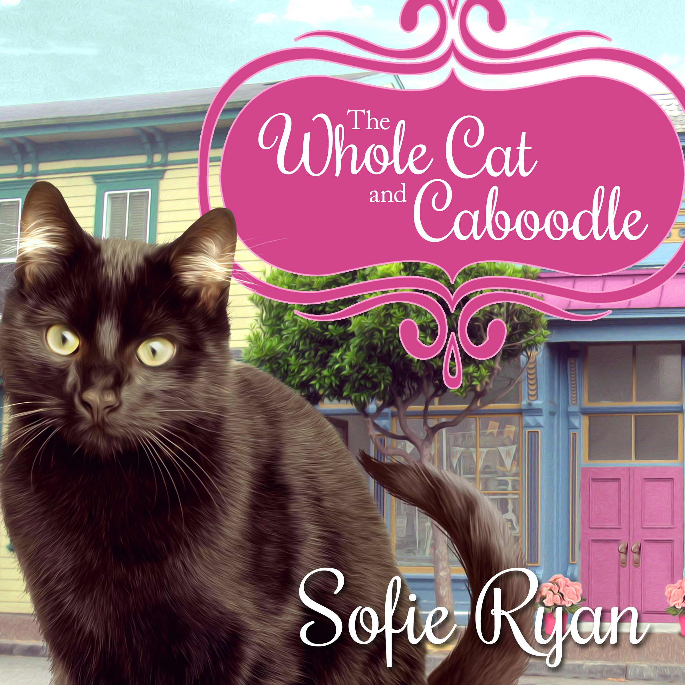 Cover art for The Whole Cat and Caboodle