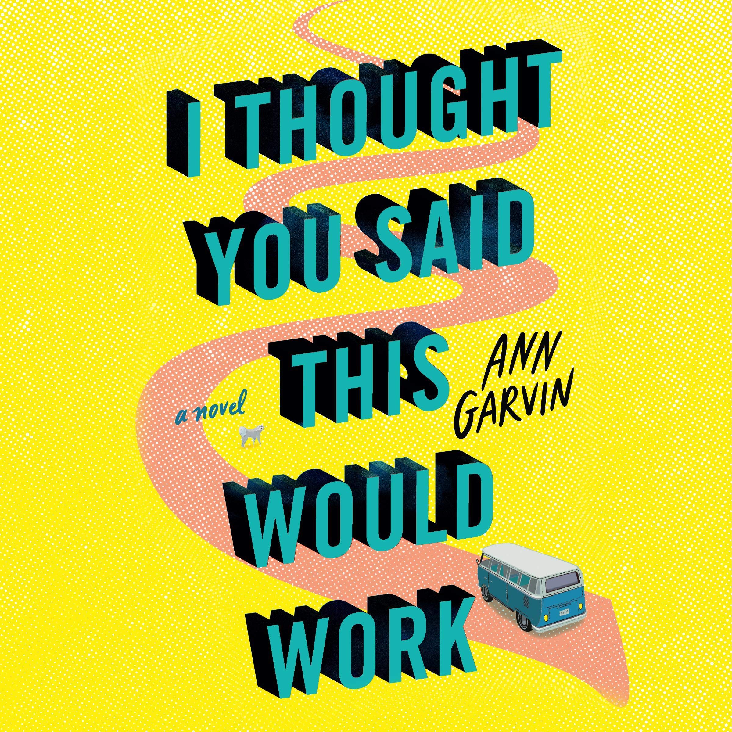 Cover art for I Thought You Said This Would Work