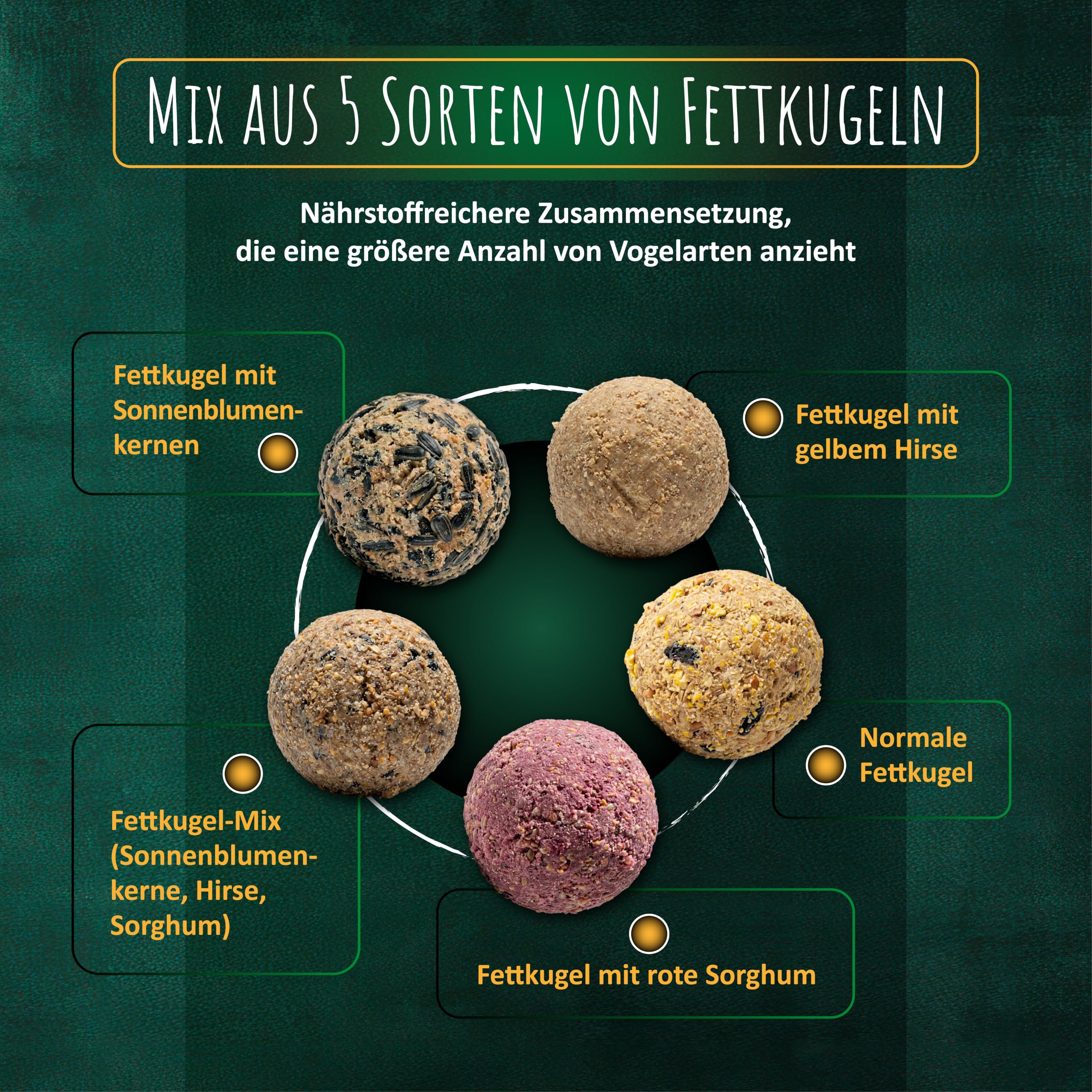 Meisenknödel ohne Netz| Ganzjahres-Mix Wildvogelfutter| Vogelfutter 200St.