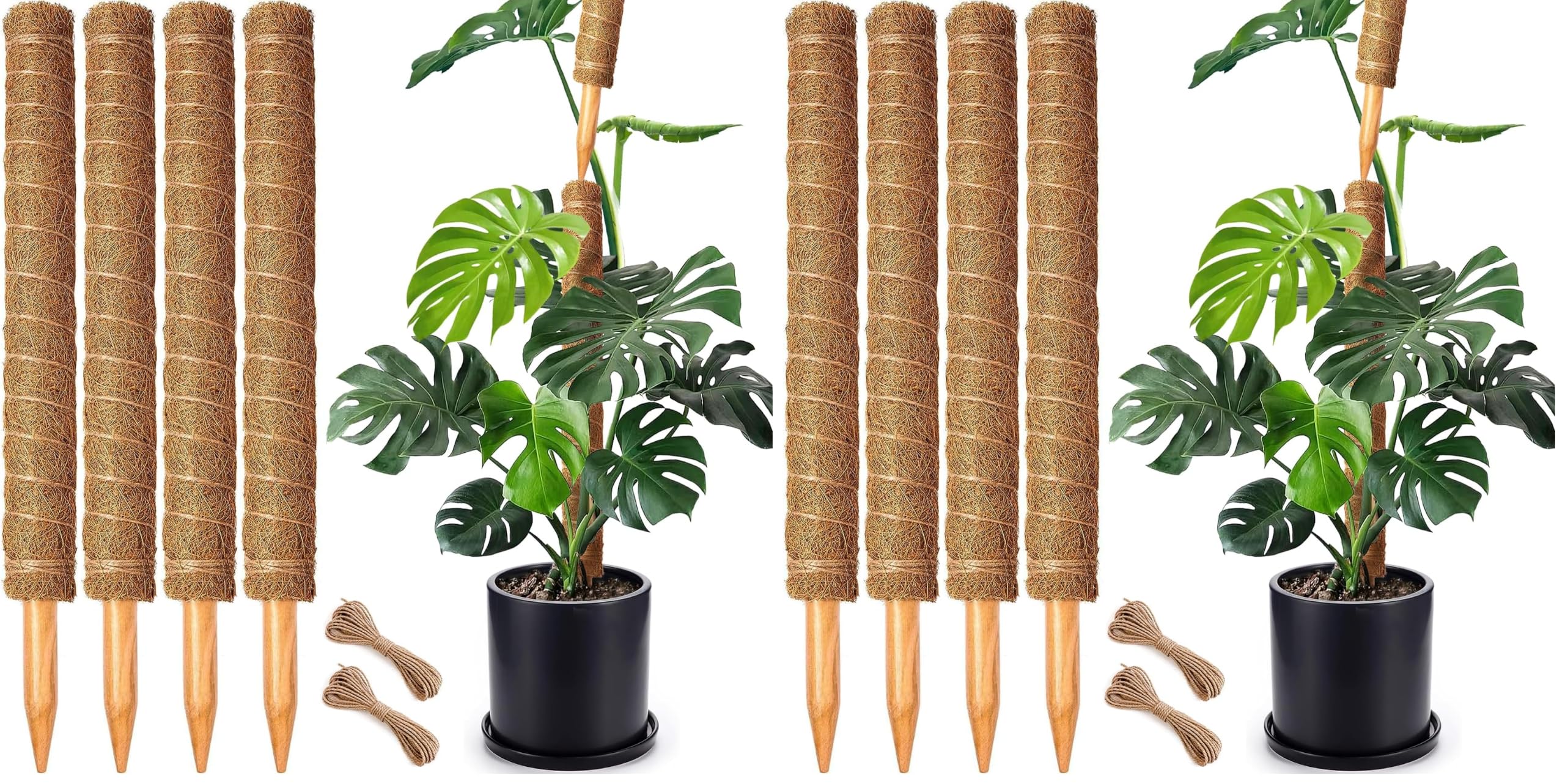 8 Pack 22 Inch Moss Poles, Stackable Moss Pole for Plants Monstera, 70 Inch Tall Moss Poles for Climbing Plants Indoor, Coir Totem Plant Support Stakes Stand for Potted Plants, Pothos