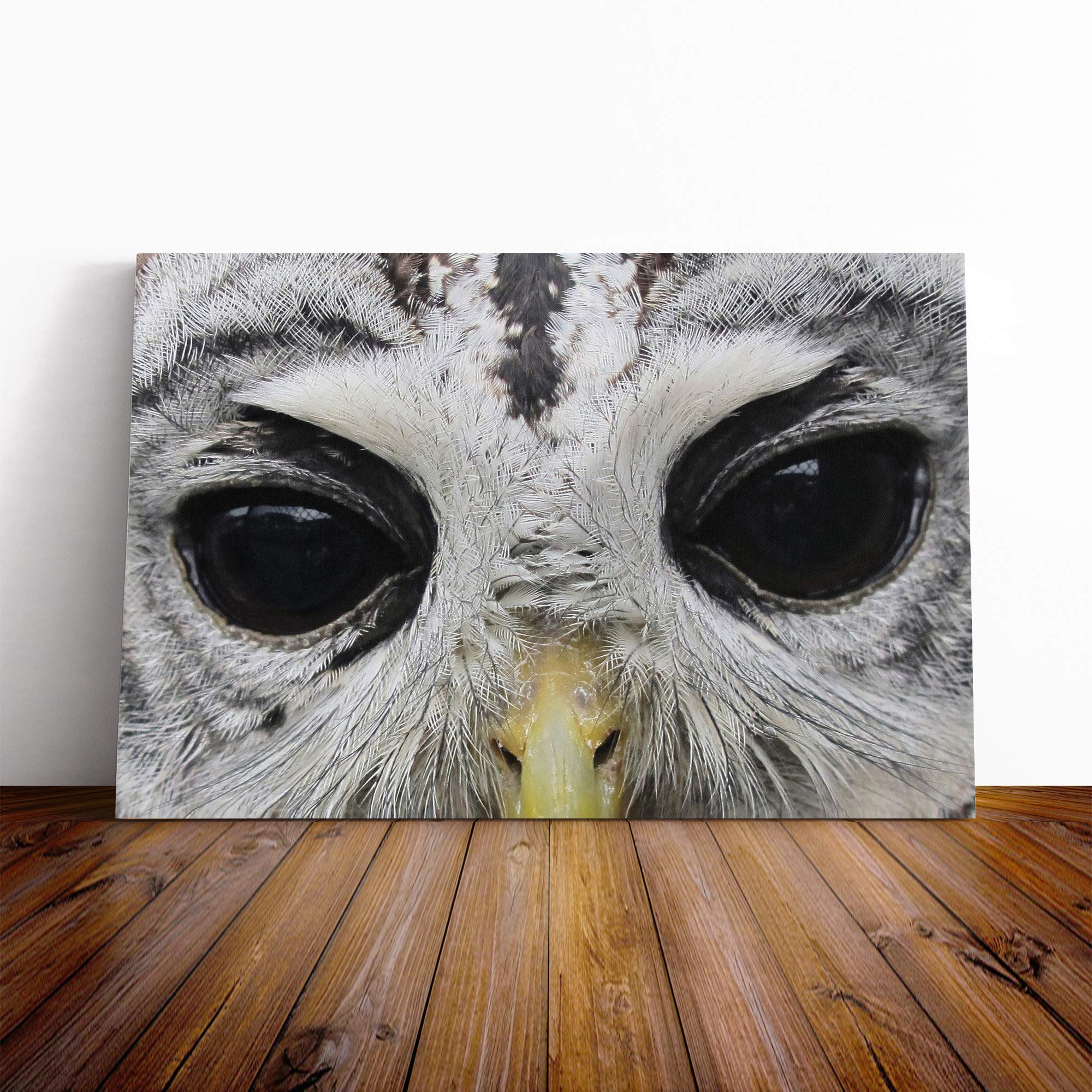 Owl Eyes Canvas Print | Gallery Wrapped 30mm Frame Wall Art | 20x14 inches | Ready to Hang | Modern Animals Picture | Living Room Bedroom Lounge Office
