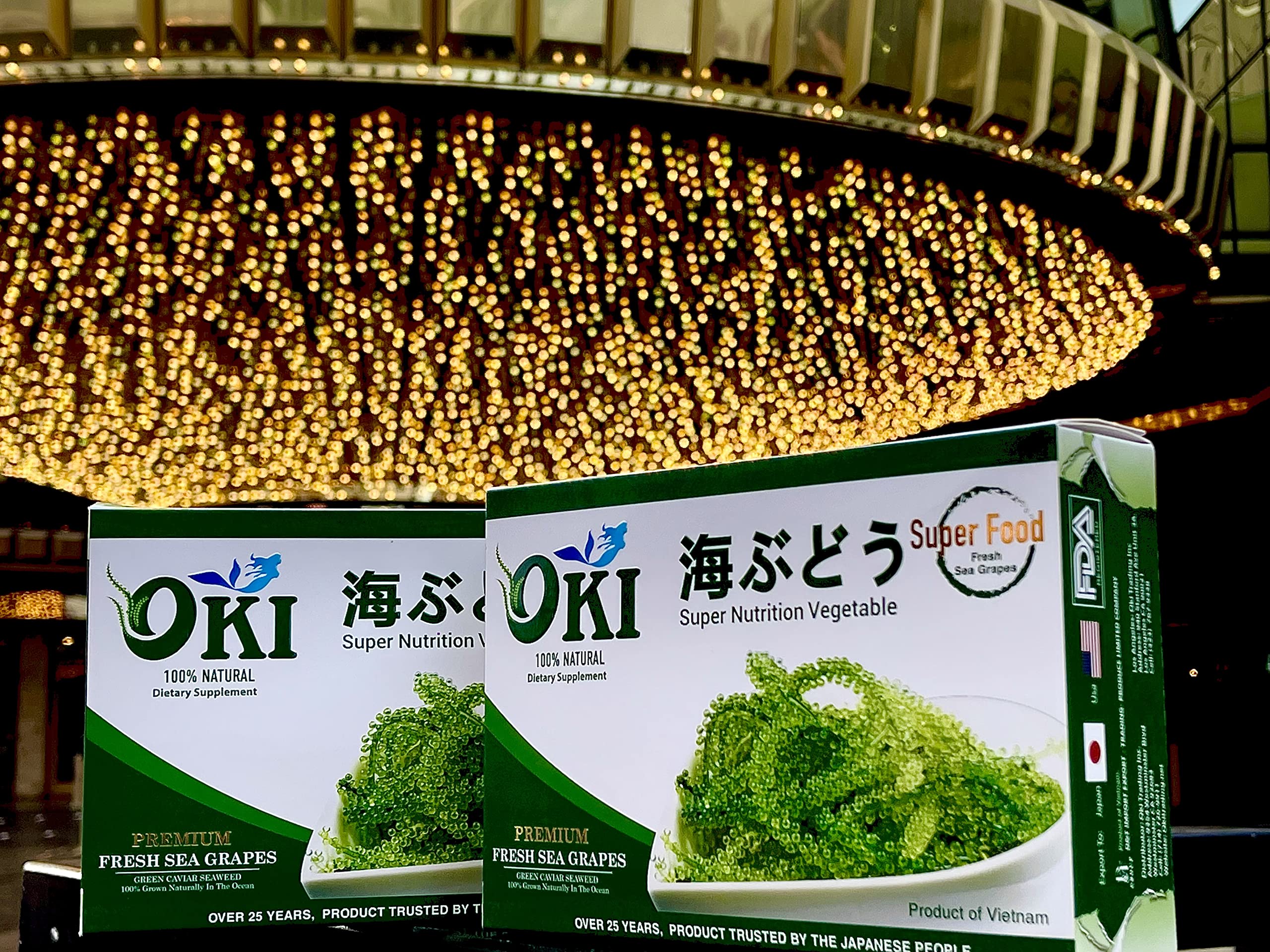 OKI PREMIUM FRESH SEA GRAPES Oki Premium Fresh Sea Grapes, Umibudo, Dehydrated Lato Seaweed, Green Caviar, Superfood (0.7 oz x 10 packs)(Pack of 10)