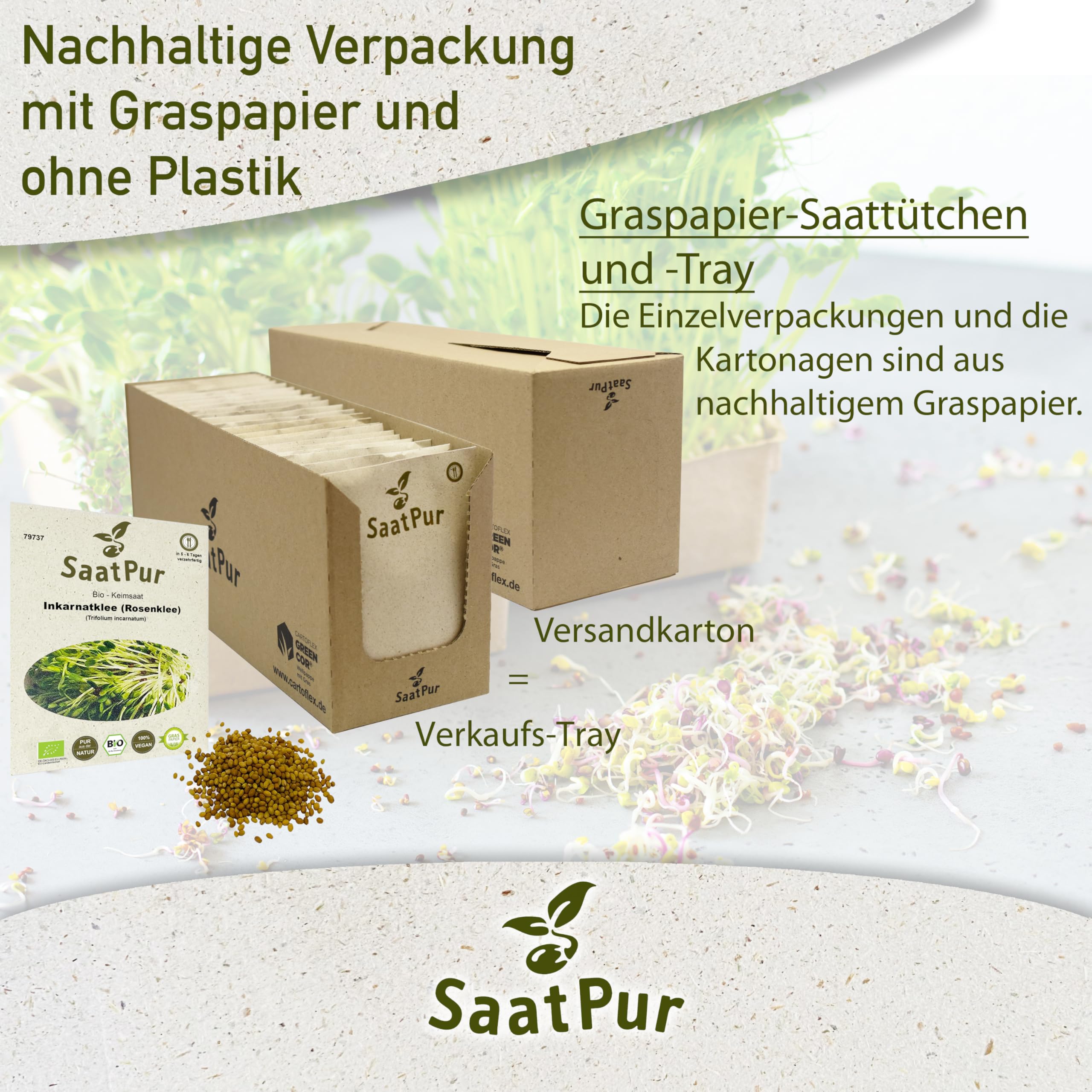 Inkarnatklee Rosenklee BIO Keimsprossen von SaatPur - Sprossen Keimsaat, Microgreen - Großes Tray mit 60 Portionstüten je 30g