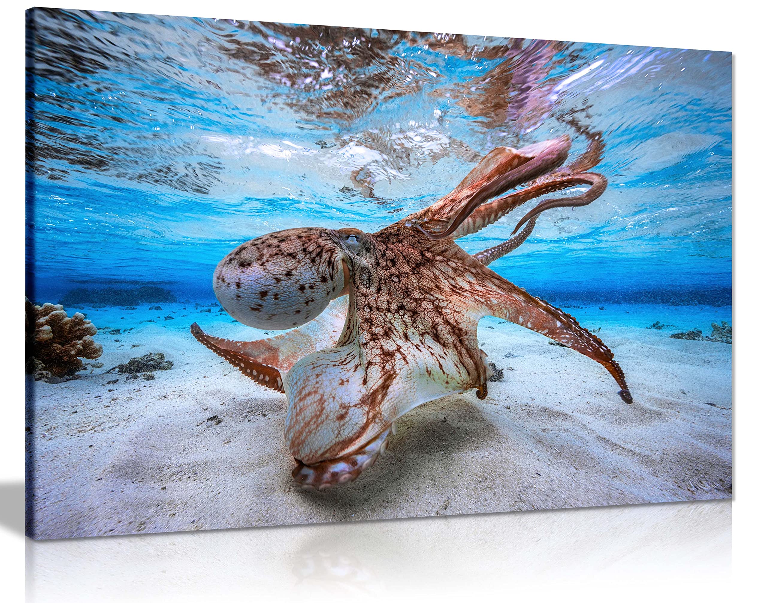 Panther Print Fine Art Prints Dancing Octopus Underwater Artistic Framed Canvas Print, Pictures For Home Walls, Bedroom, Living Room & Bathroom Decor 46X31cm (18X12in)