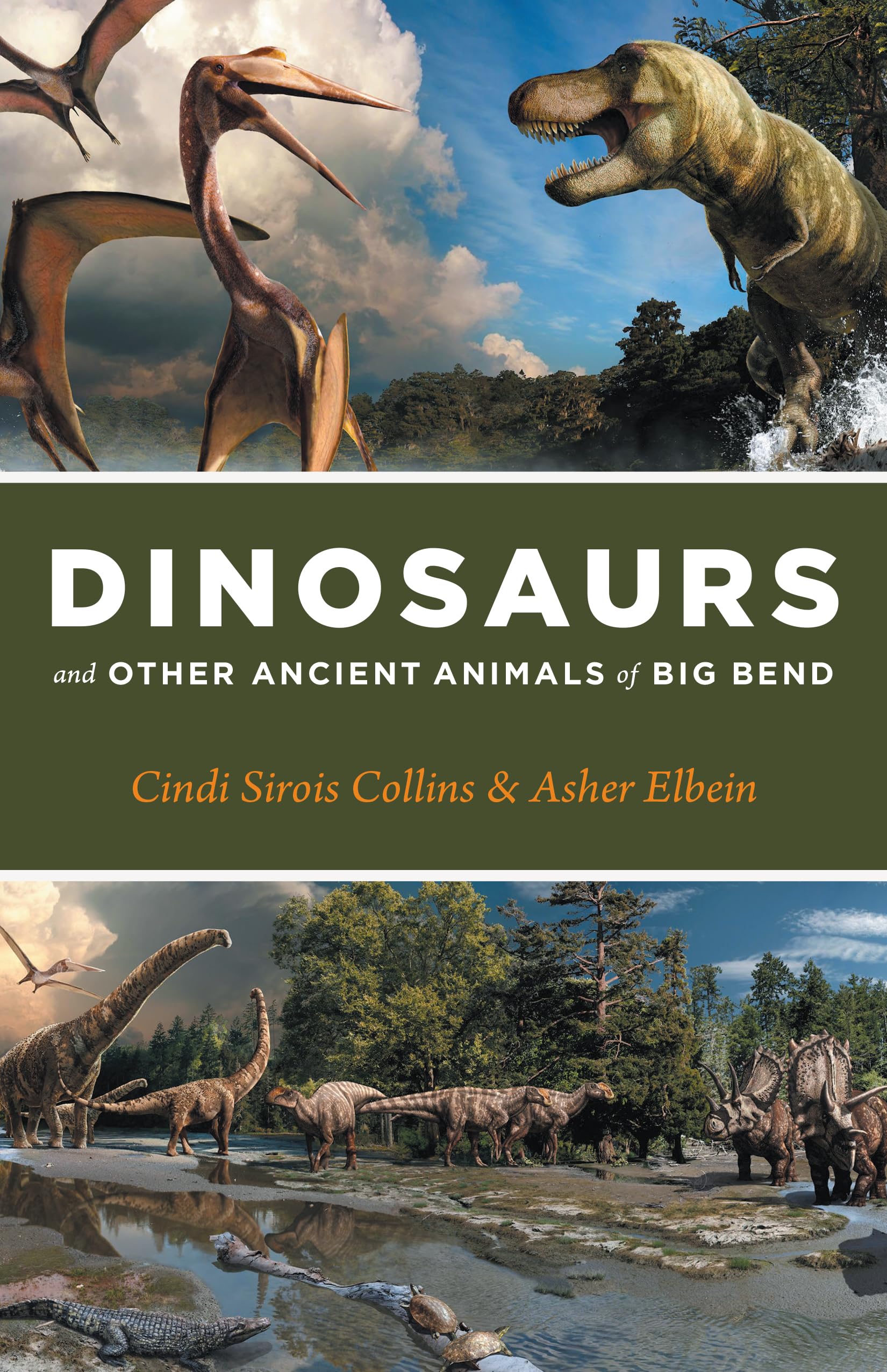 Dinosaurs and Other Ancient Animals of Big Bend (The Corrie Herring Hooks) Paperback – April 11, 2023